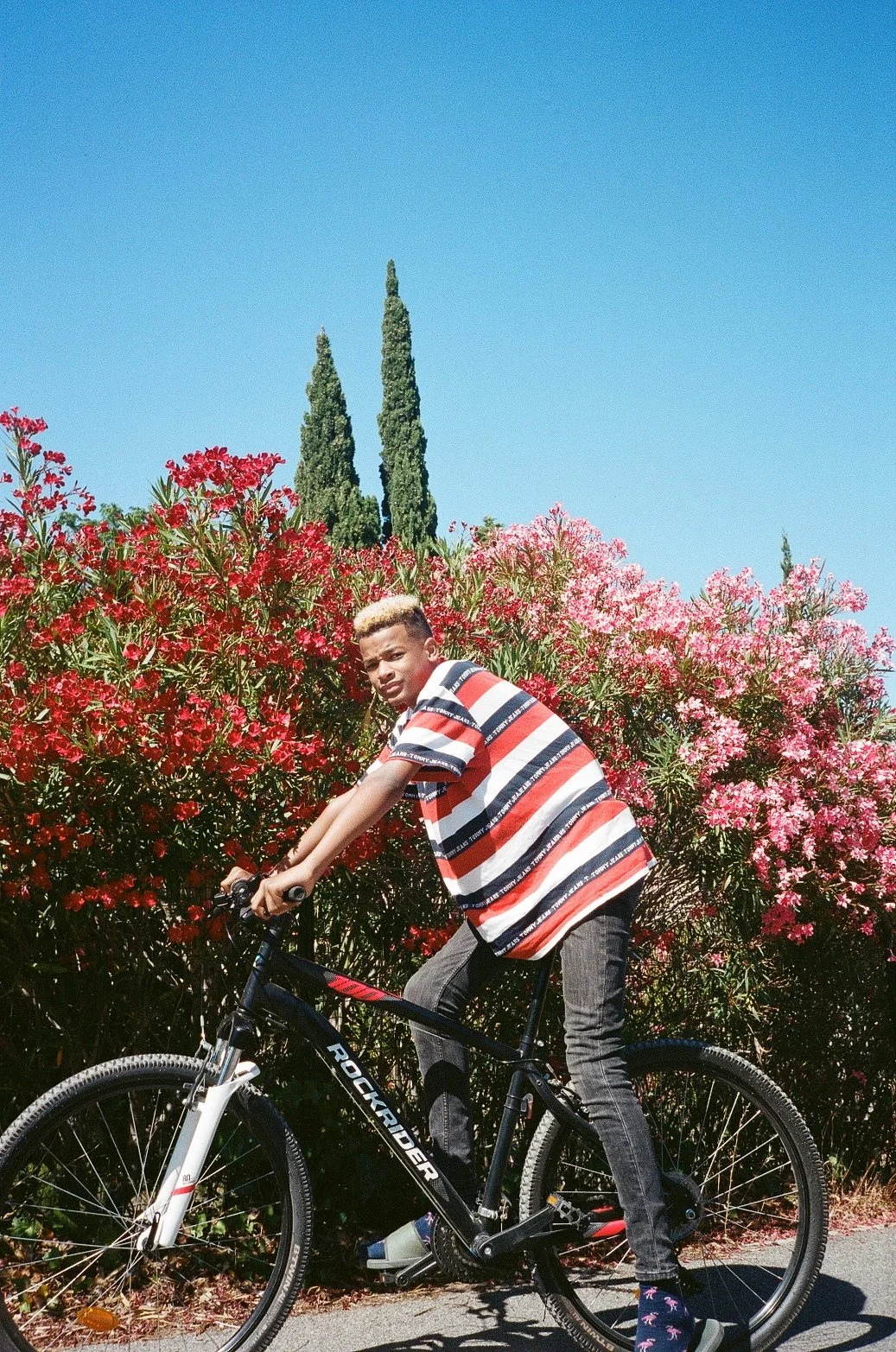 200084480009.jpg