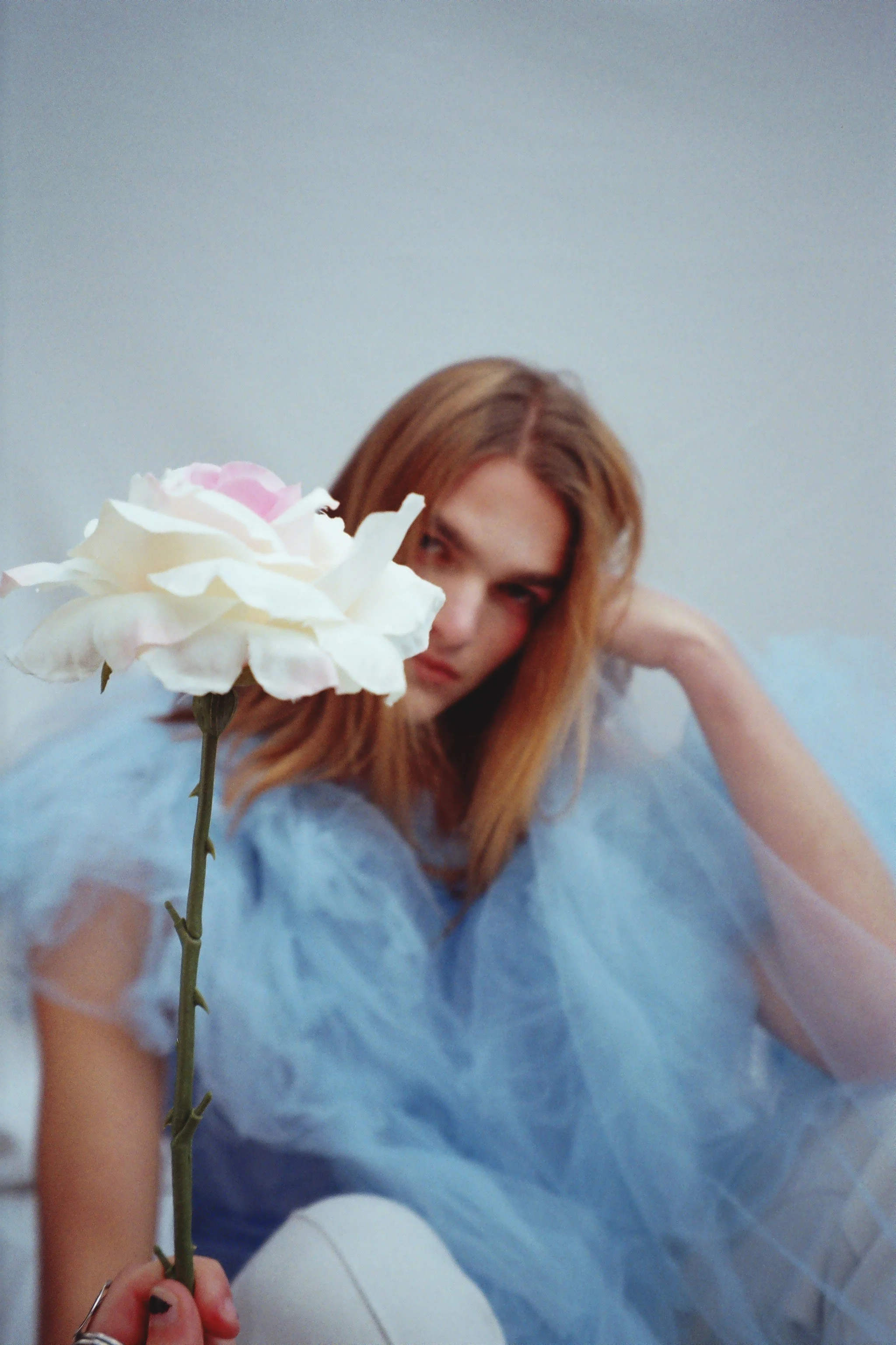 Dandy Fashion Project 