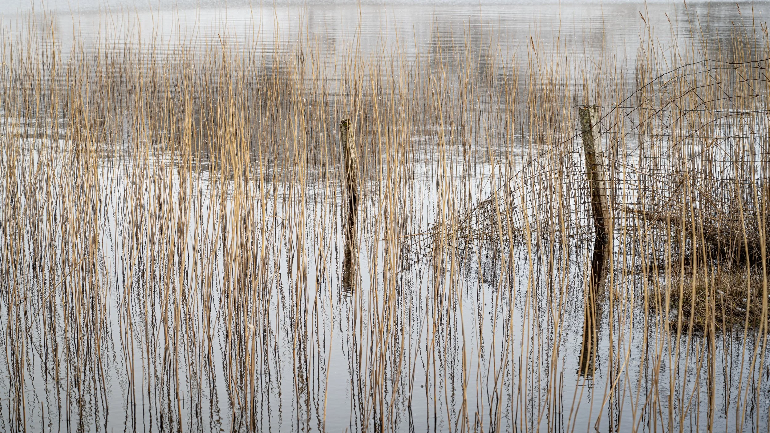 DSC_4019.jpg