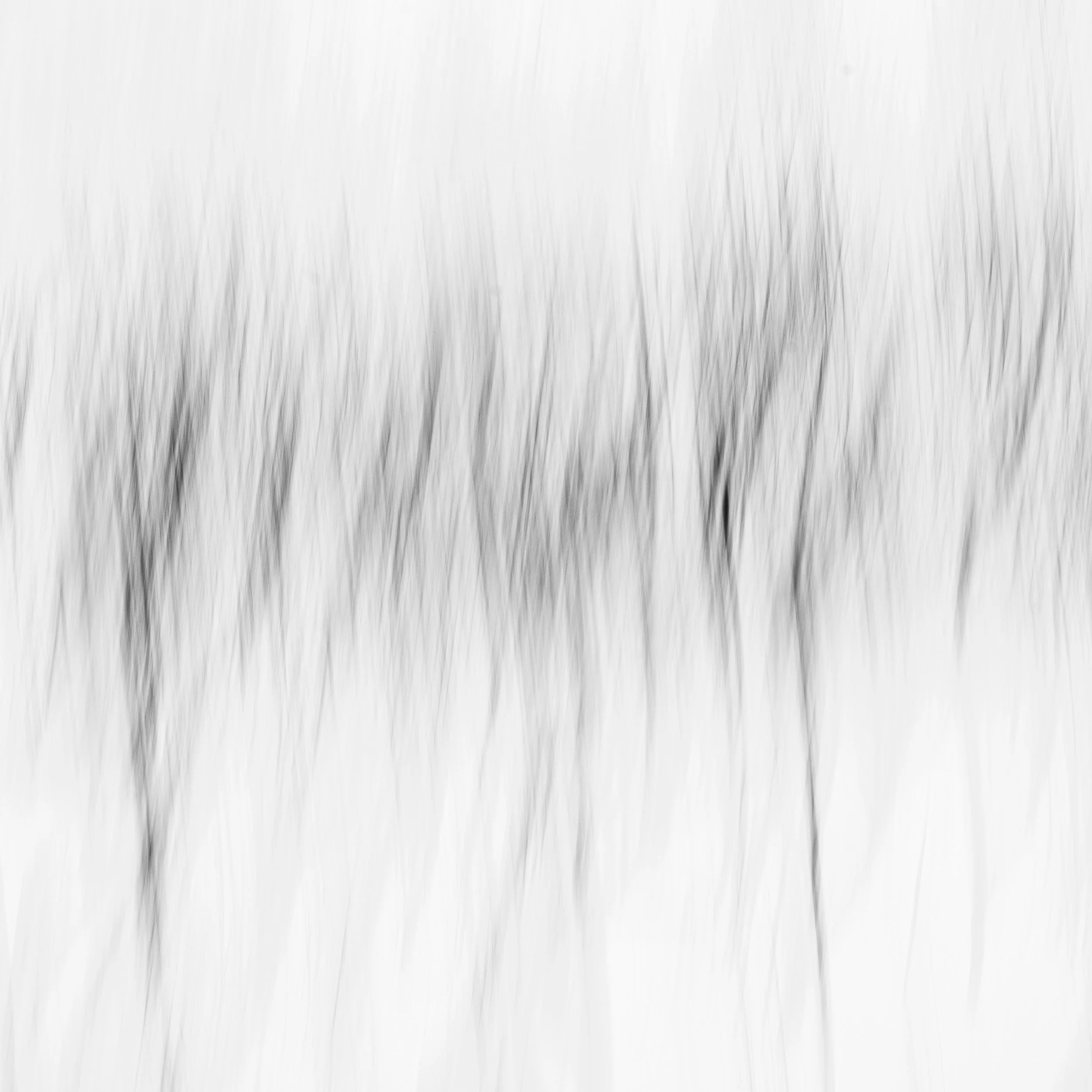 Abstraction no_6.jpg