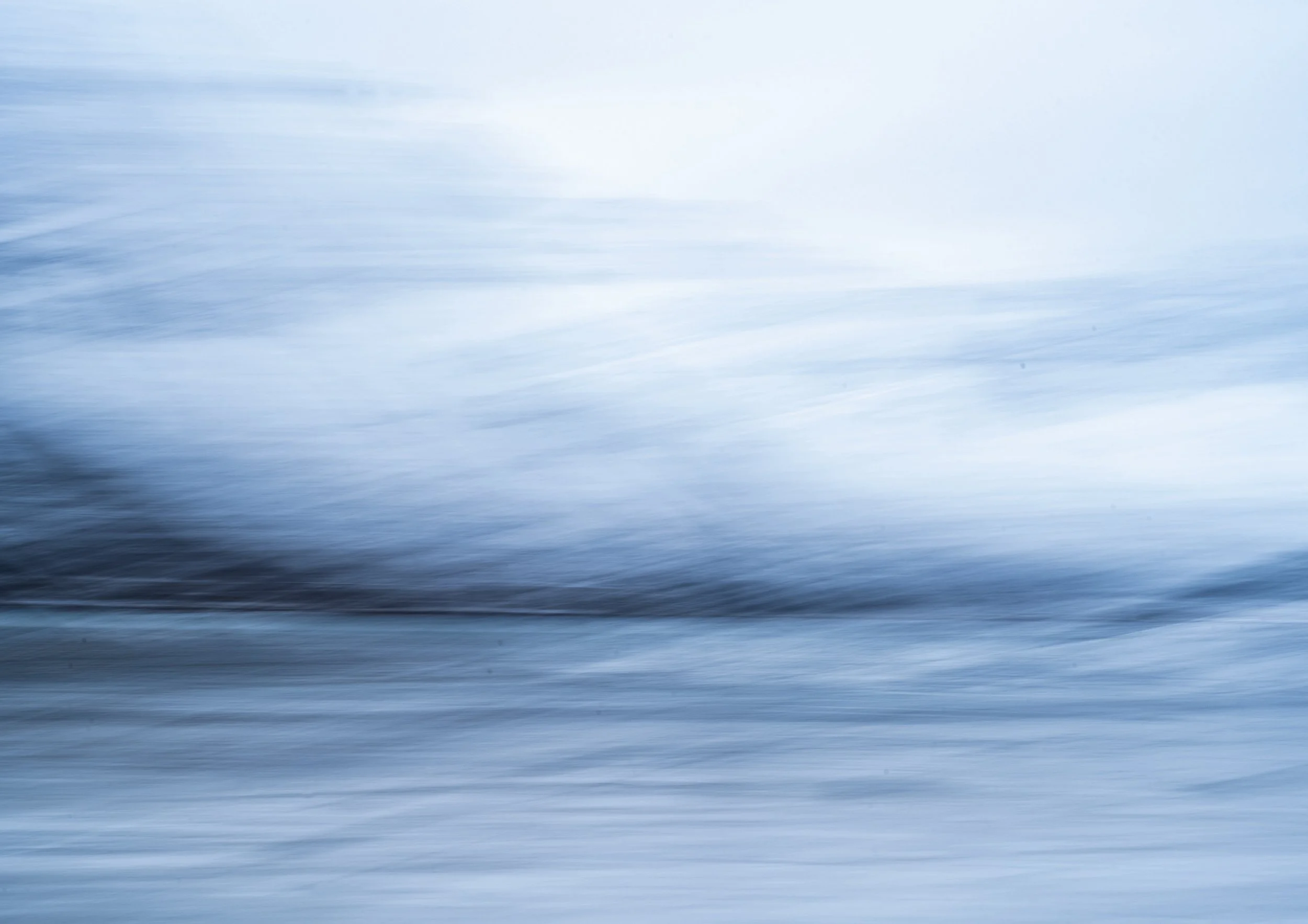 blauwe icm.jpg