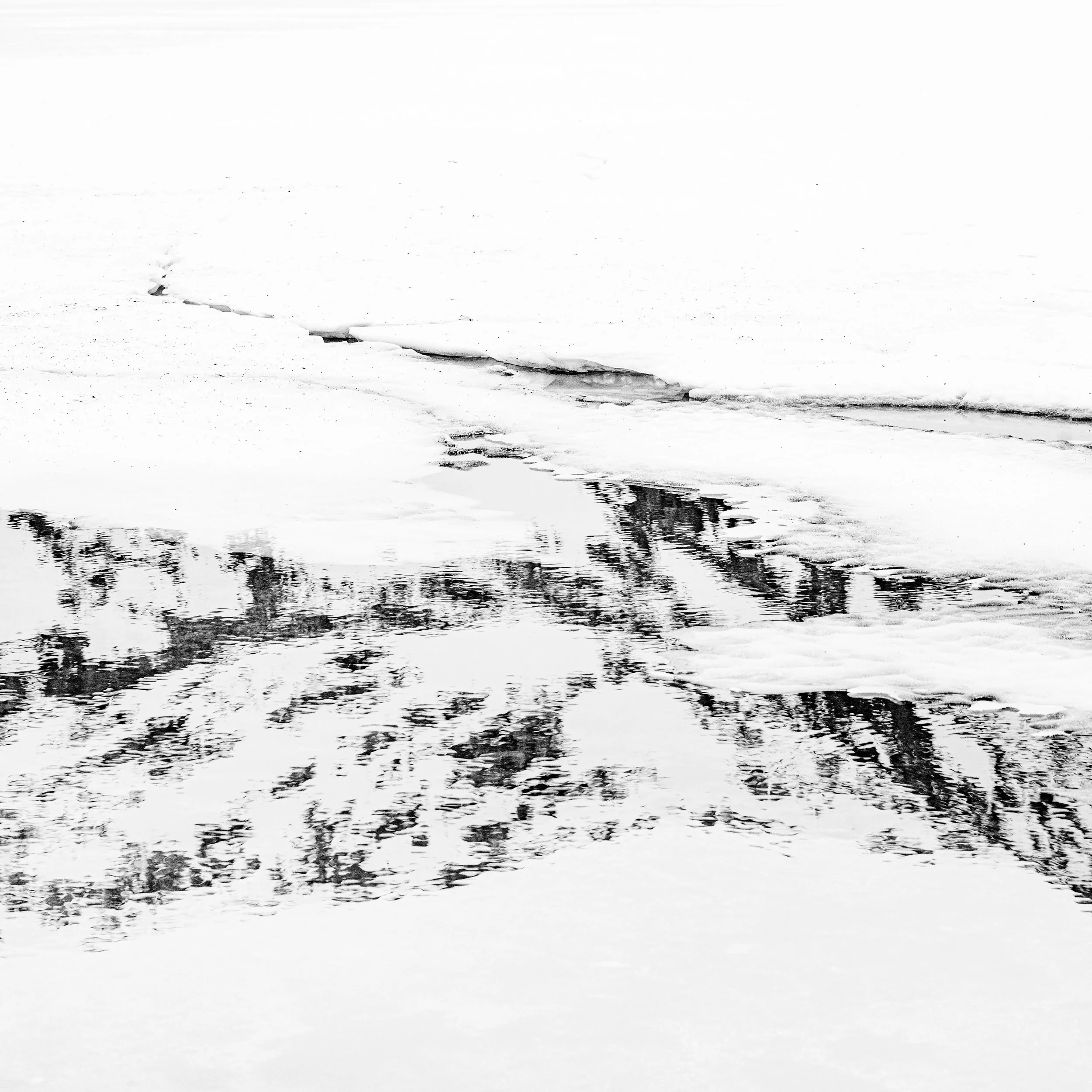 DSC_8280.jpg