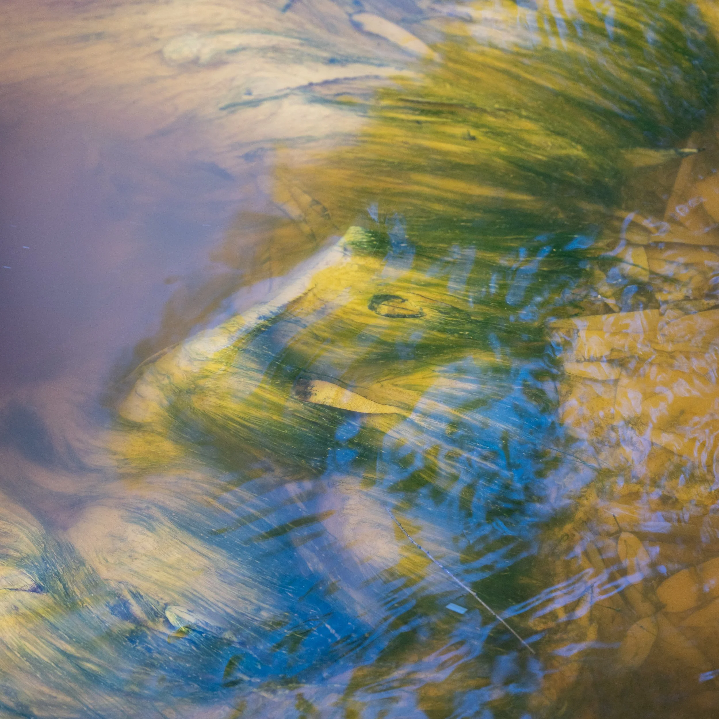 Abstraction no_3 web.jpg