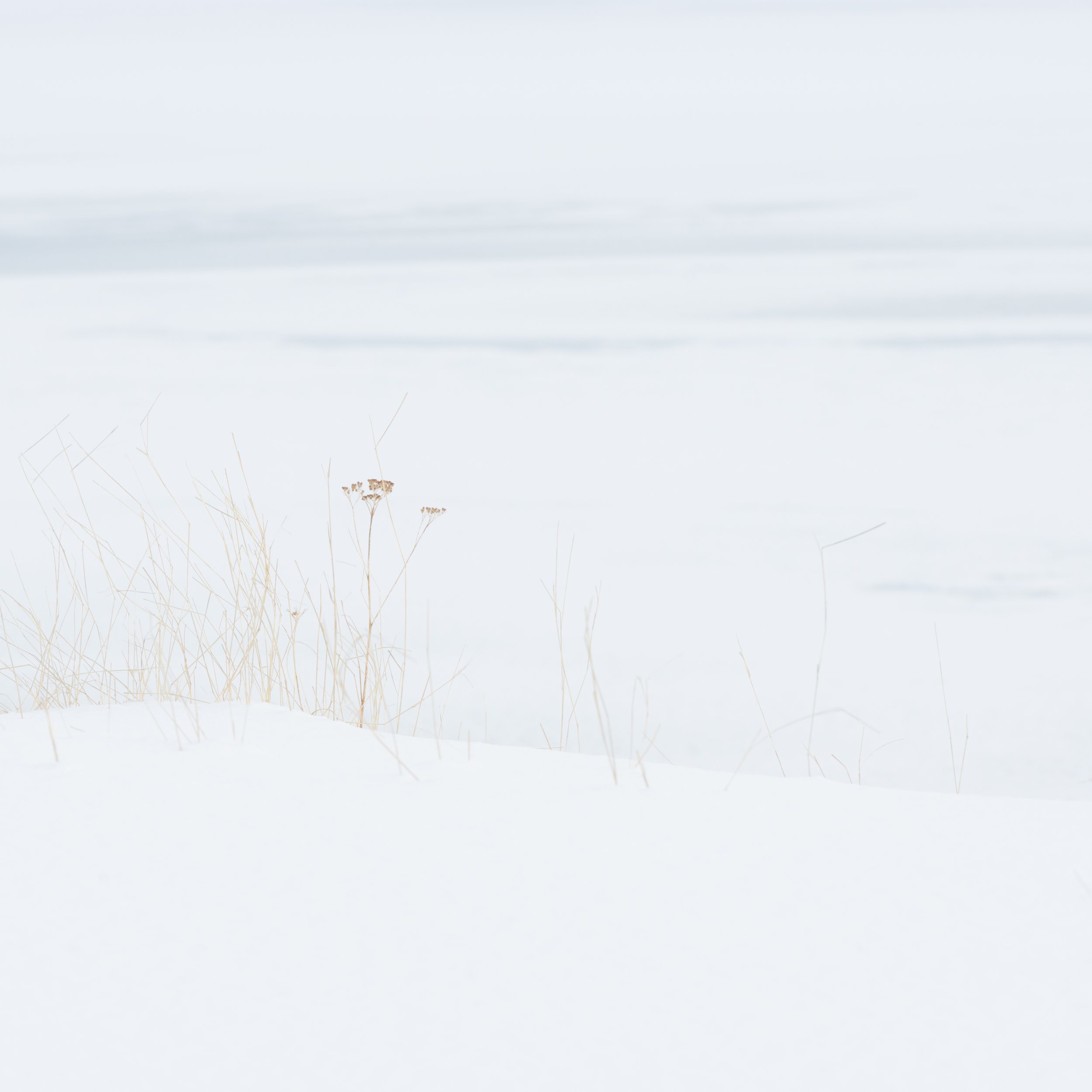 20170227-527.jpg