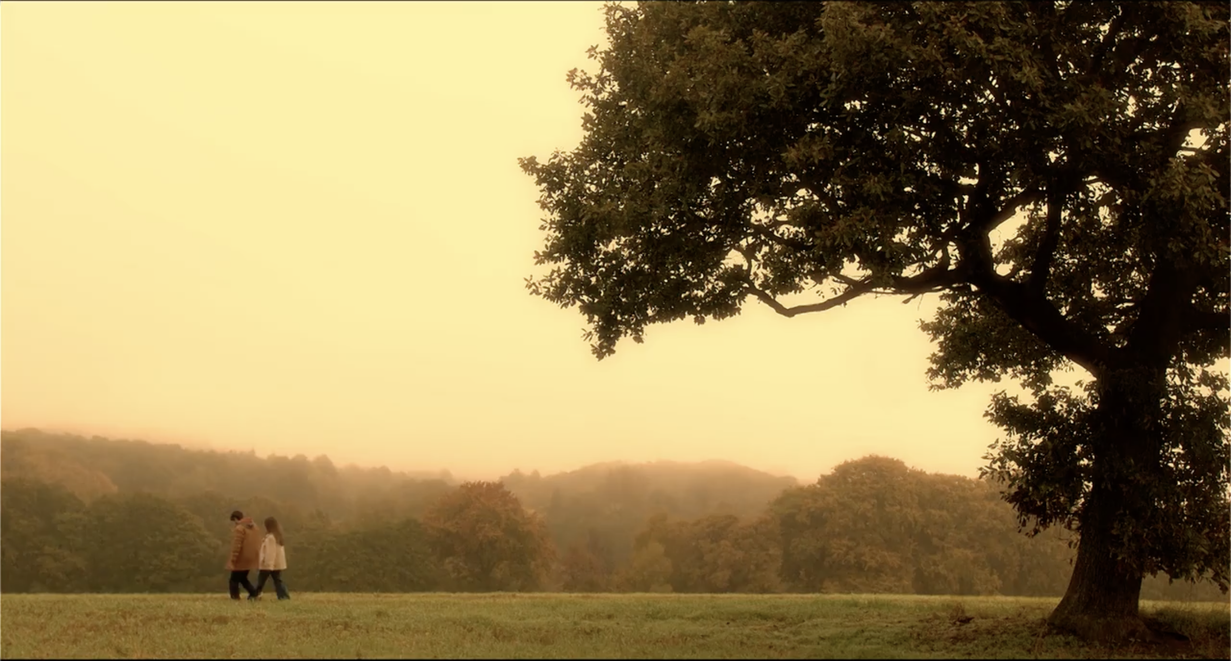 A large tree with dense foliage on the right side and two people walking in a grassy field during sunset or sunrise, with hills and more trees in the background.