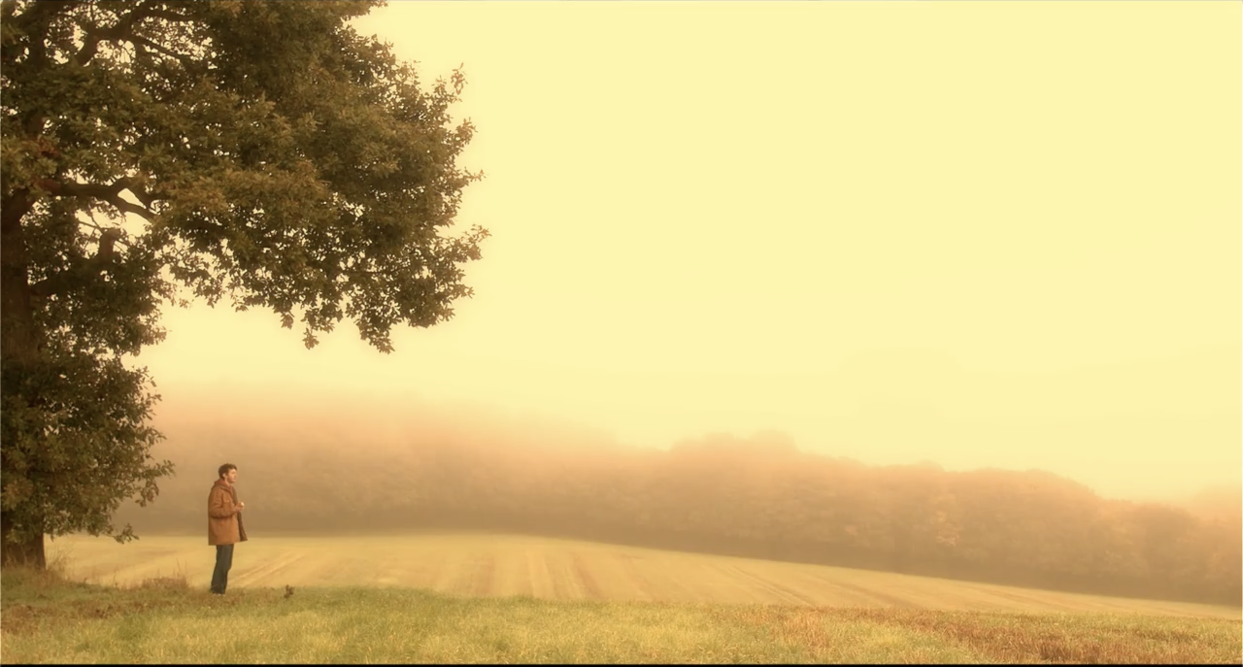 A person standing on a grassy field at sunset with a large tree to the left and a yellow sky in the background.