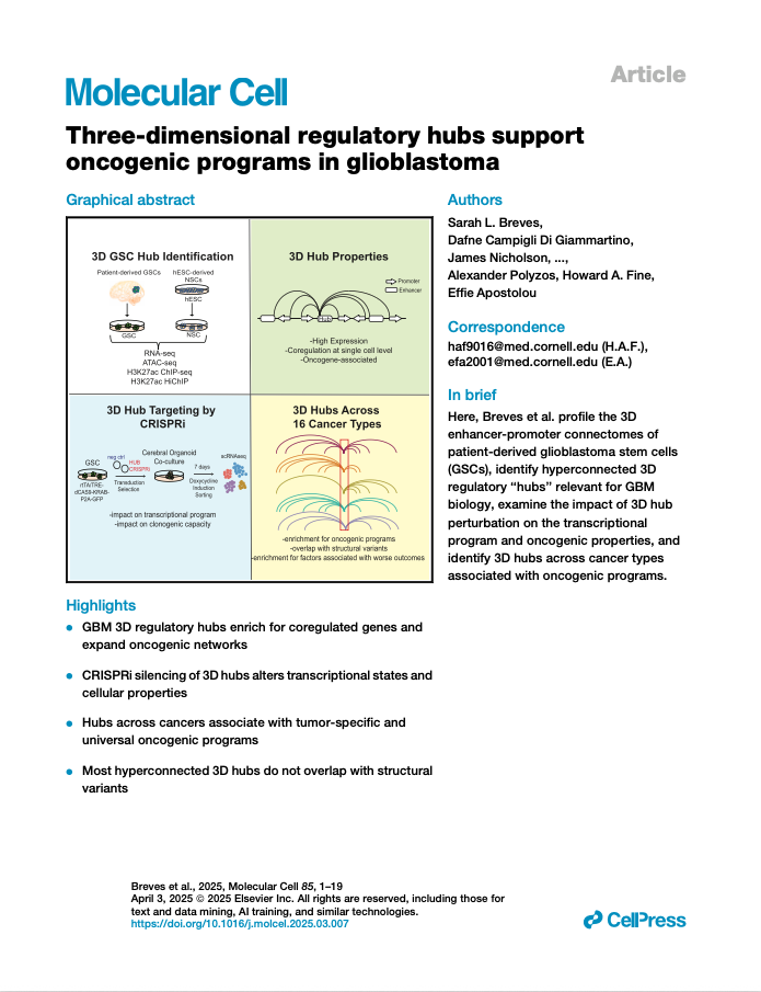 A scientific article titled 'Three-dimensional regulatory hubs support oncogenic programs in glioblastoma,' showing diagrams of 3D GSC hub identification, 3D hub properties, targeting strategies, and associated cancer types, with sections on highlights, authors, correspondence, and a brief overview.