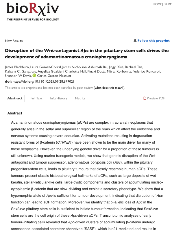 A screenshot of a scientific journal article webpage titled "Disruption of the Wnt-antagonist Apc in the pituitary stem cells drives the development of adamantinomatous craniopharyngioma" from bioRxiv. The page includes the article's authors, a link to the full text, and an abstract summarizing the research on tumor development in pituitary stem cells.