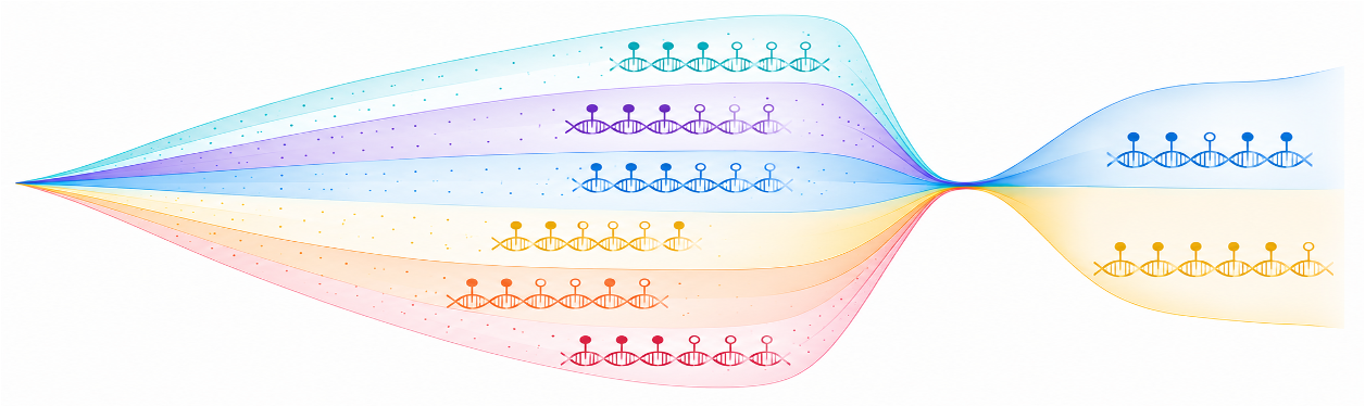 Flow diagram of DNA sequences with color-coded gene representations in blue, purple, yellow, orange, and red, converging towards a central point.