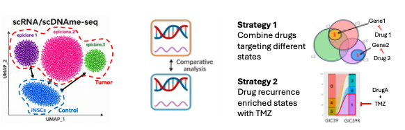 Diagram showing two strategies: Strategy 1 combines drugs targeting different states of the virus, with overlapping circles labeled Gene1, Gene2, and Drugs 1 and 2. Strategy 2 depicts drug recurrence in enriched states with a bar graph, highlighting Drug A, Drug A+, and TMZ.