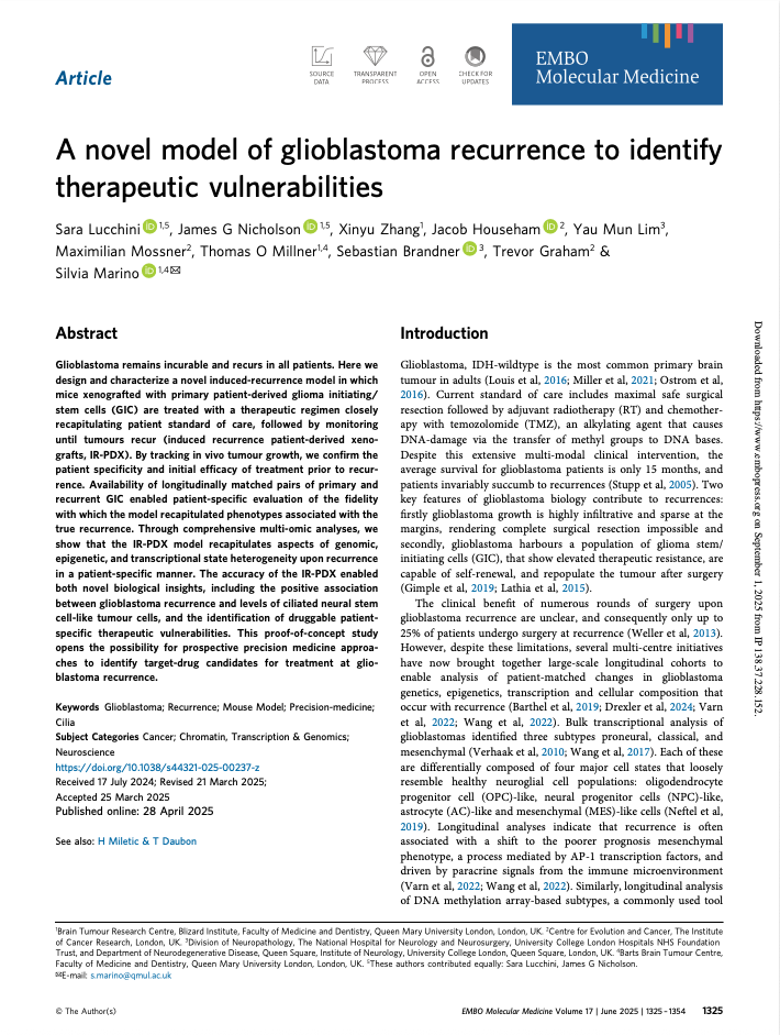 Title of a research article from EMBO Molecular Medicine discussing a new model for glioblastoma recurrence to identify therapeutic vulnerabilities, with authors listed and section headings for abstract and introduction.