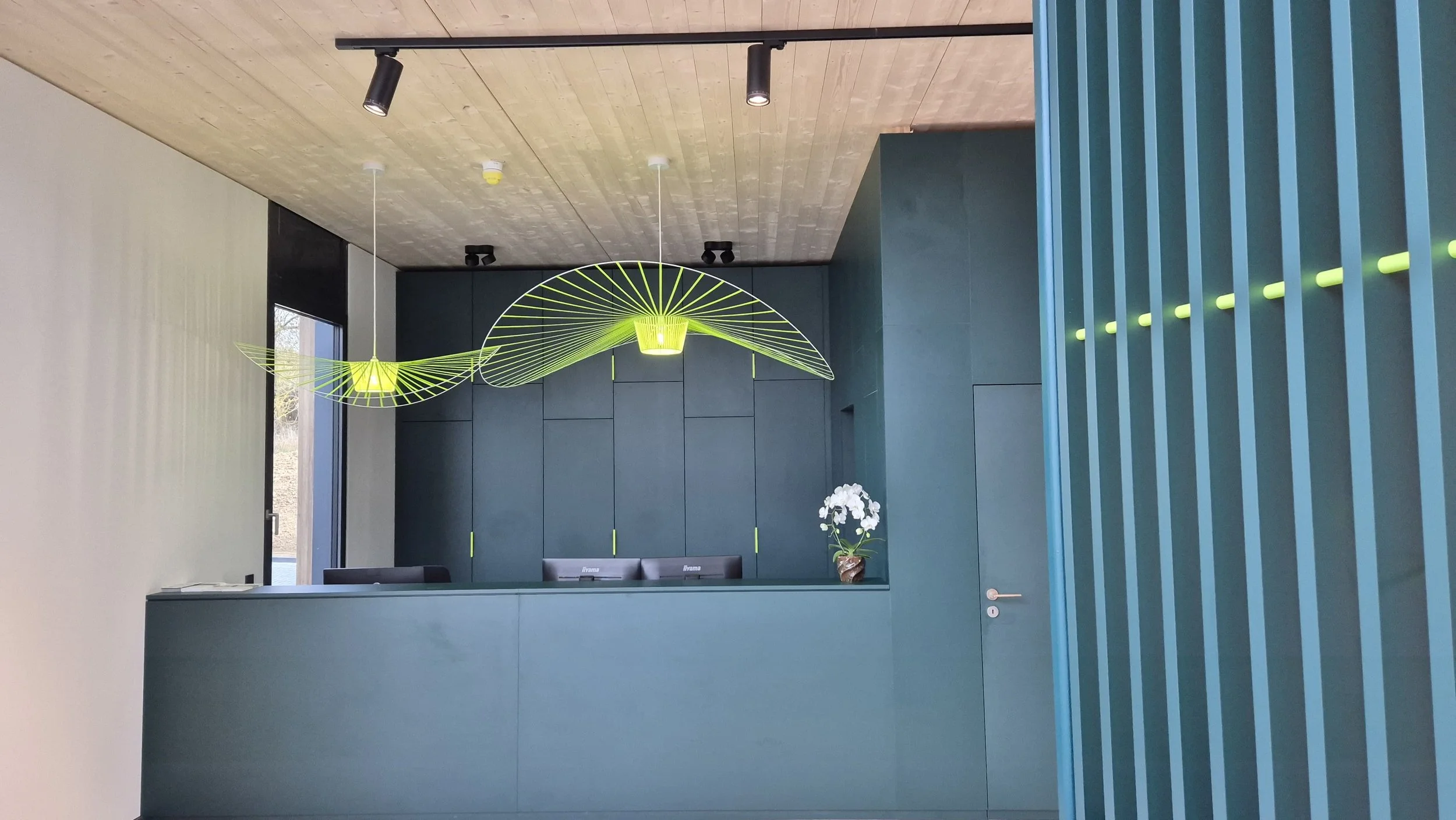 Moderne Empfangstheke in einem Büro mit blauer Wand und grüner Akzentuierung, Wanddeko und eine Orchidee auf der Theke, Decke mit Holzoptik und schwarzen Deckenleuchten.