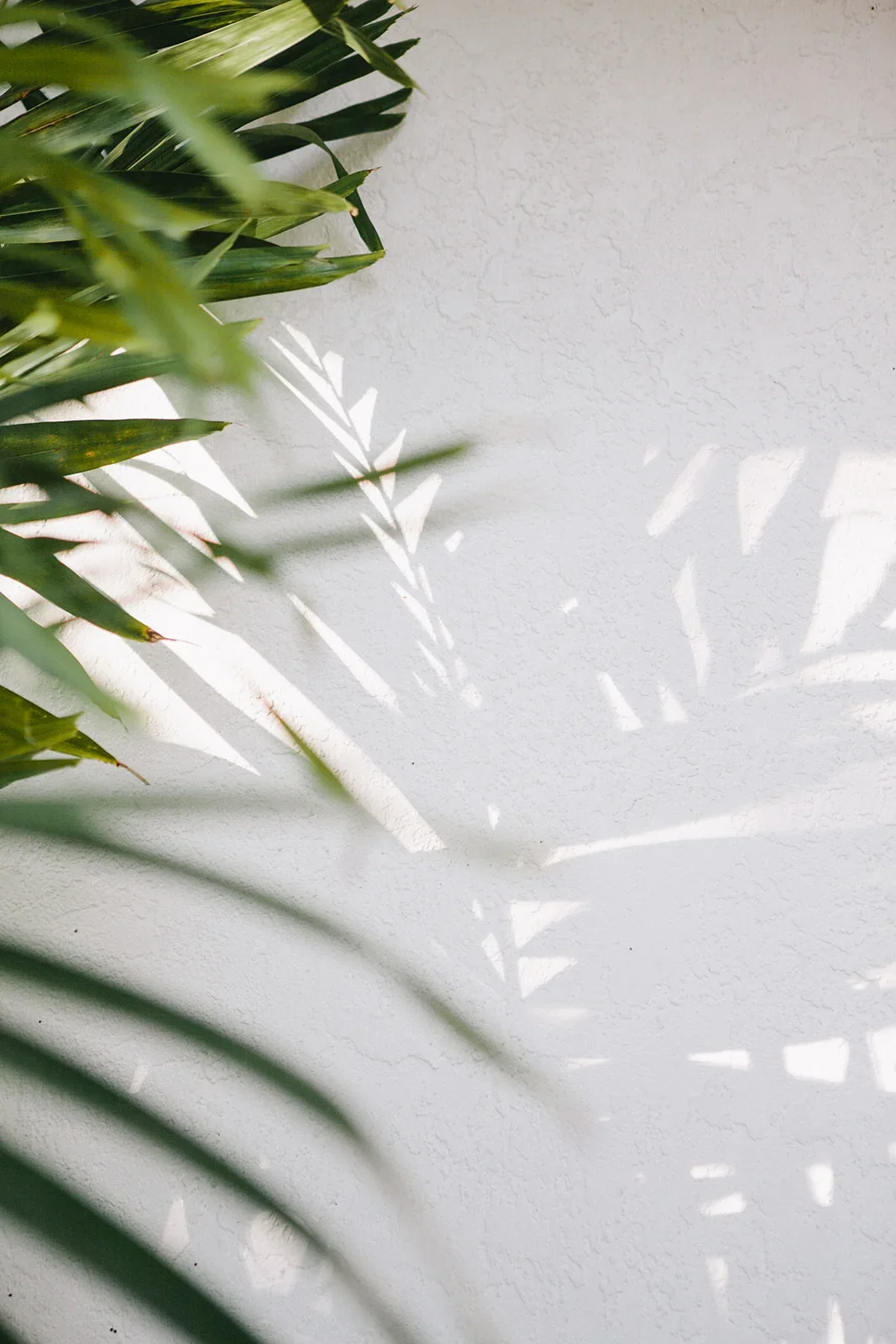 Christina-Hussey-Photography-39_websize.webp