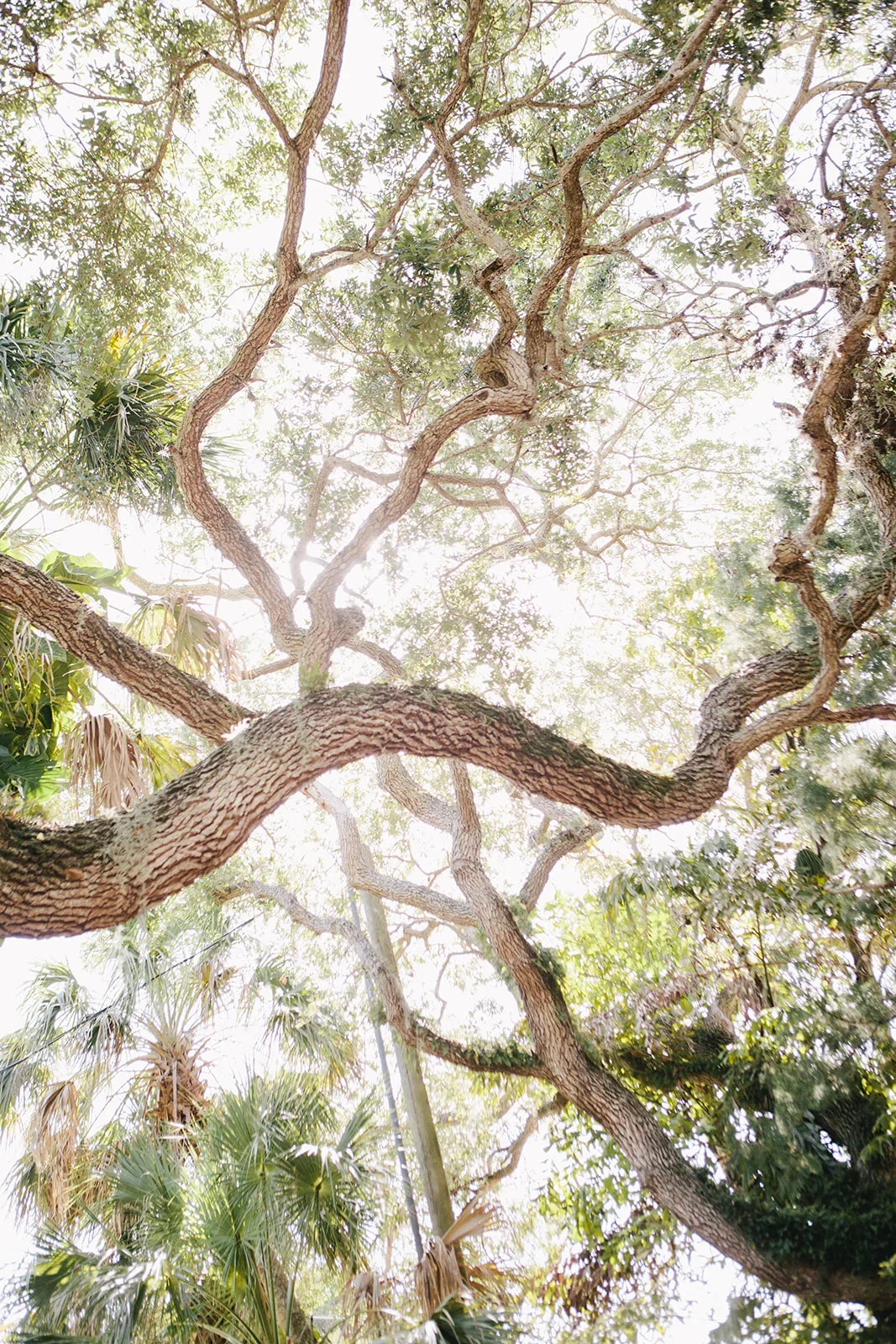 Christina-Hussey-Photography-61_websize+(1).webp