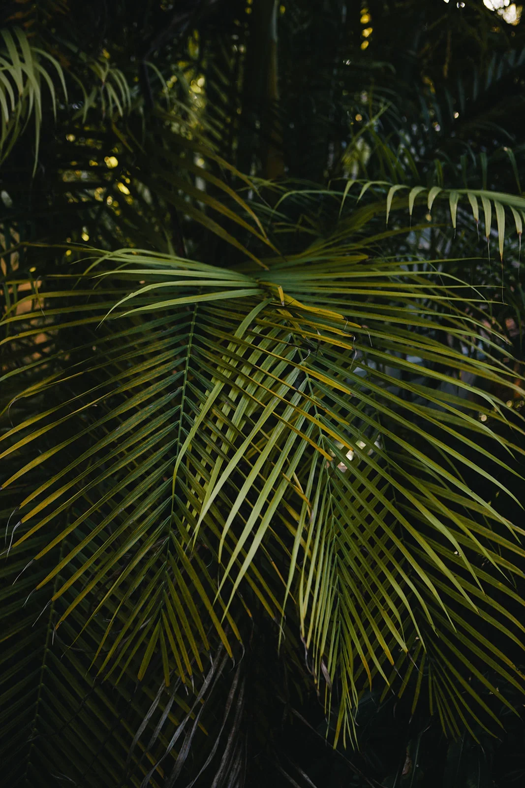 Christina-Hussey-Photography-61_websize.webp