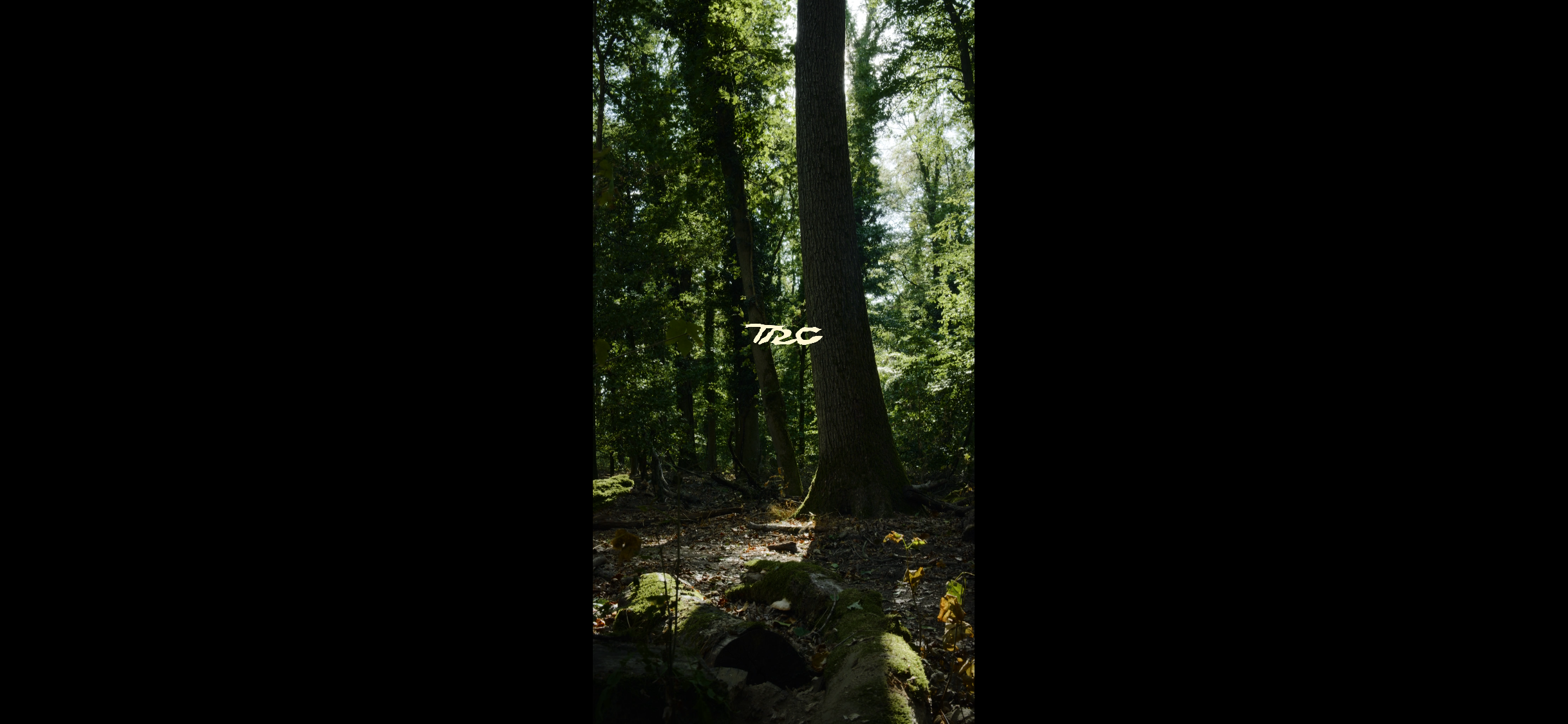 TRC x BOBO