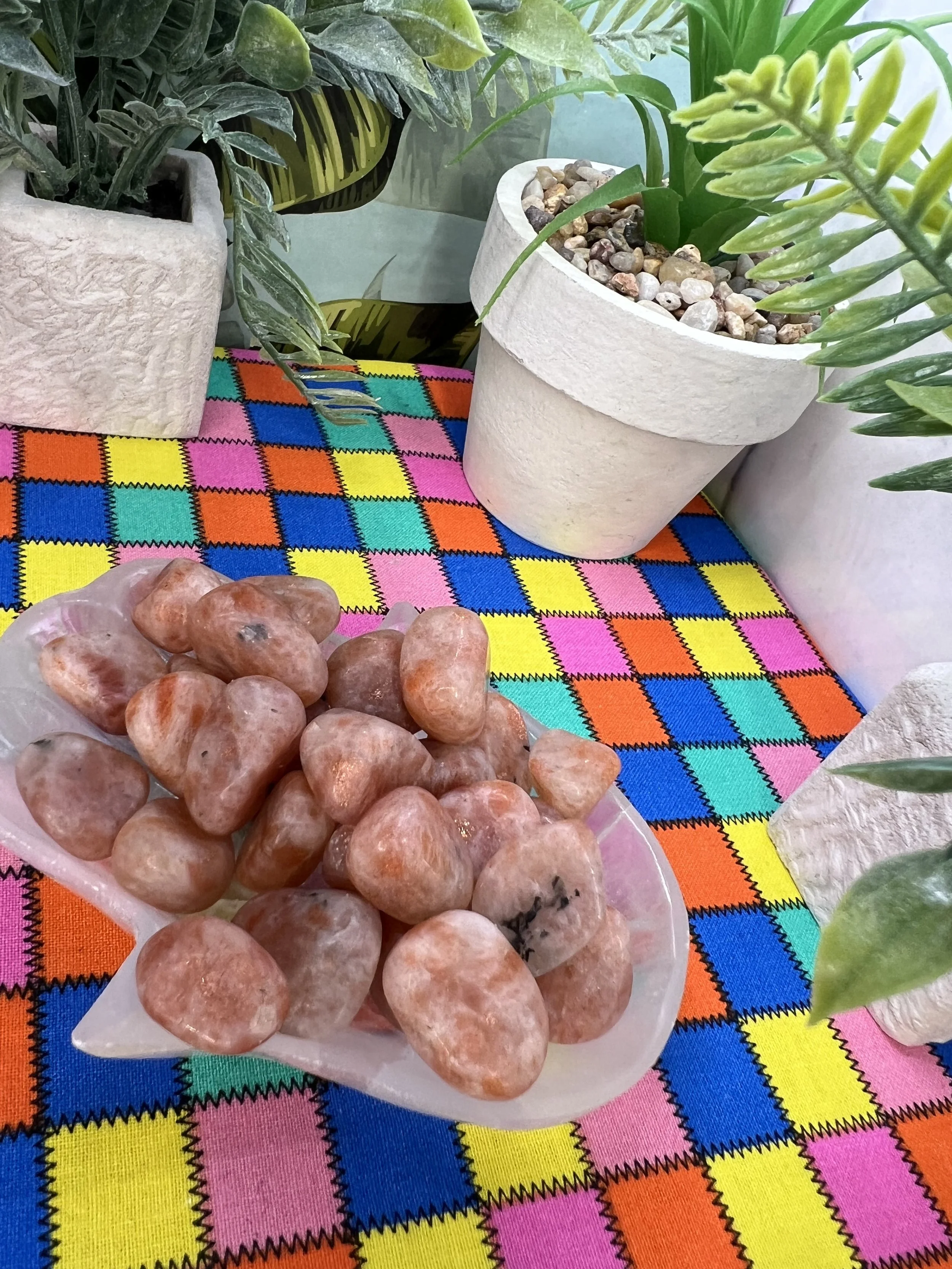 A bowl of pink and orange polished stones on a colorful plaid tablecloth surrounded by potted green plants.