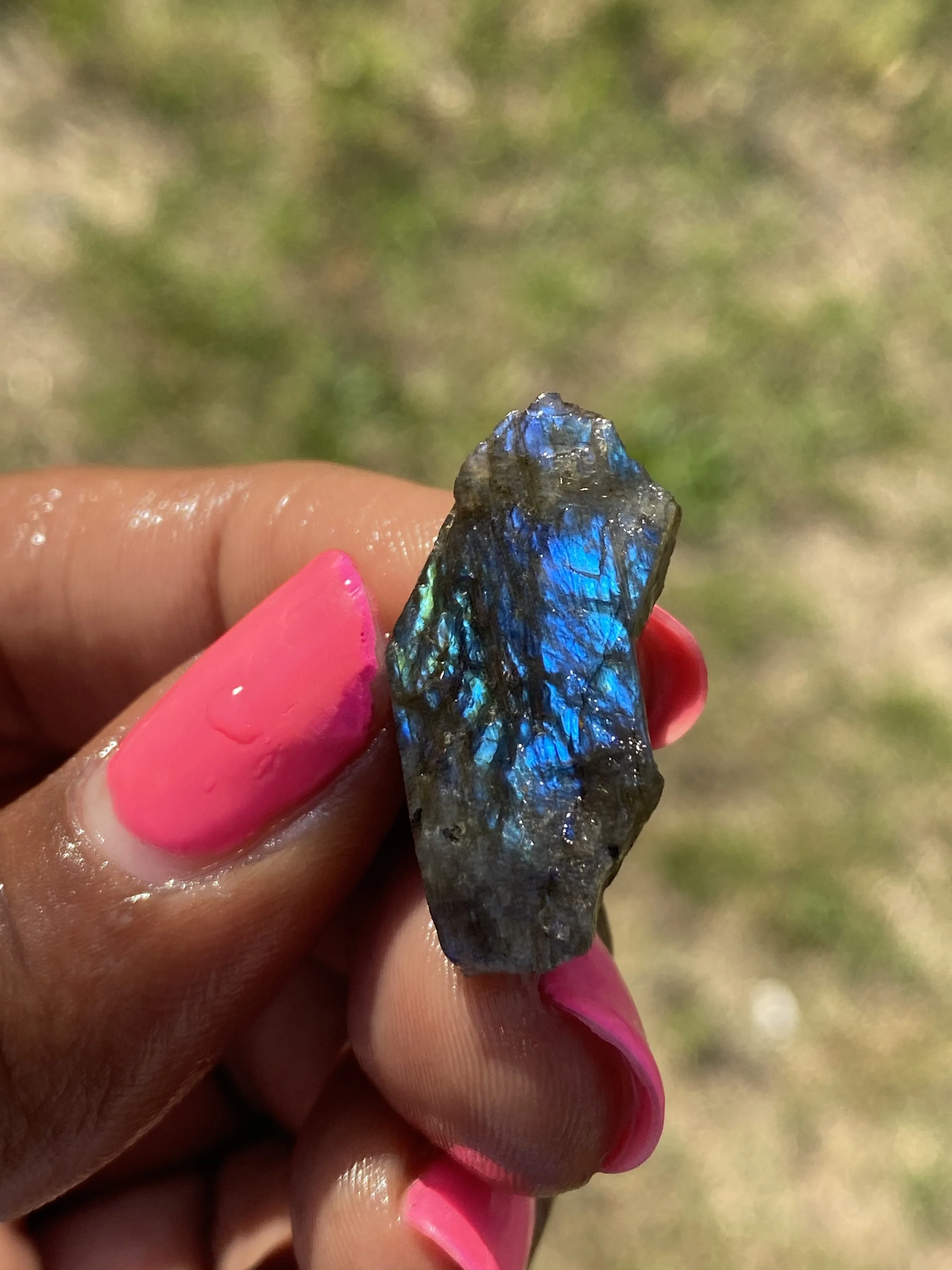 Close-up of a hand holding a piece of rough, iridescent blue stone or mineral with a blurred background of green grass or foliage.