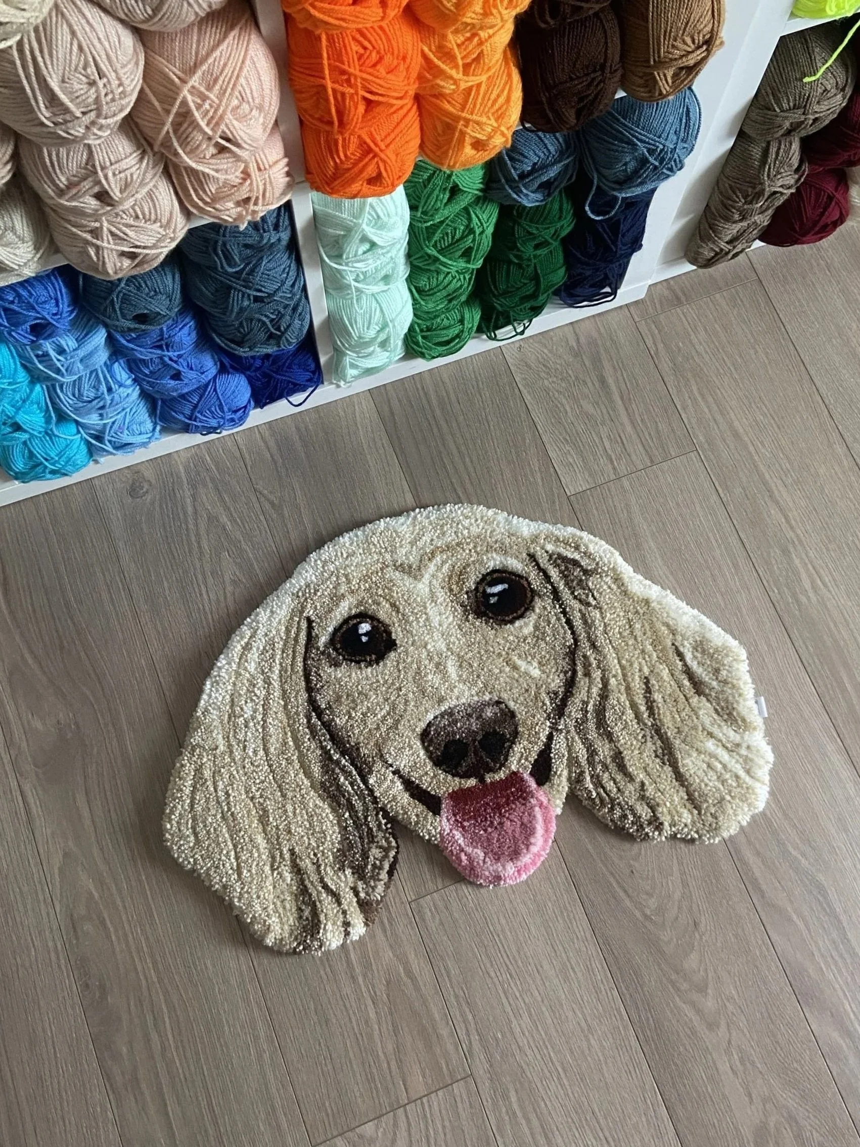 Colorful yarn balls placed on a white shelf, with a dog-shaped rug on the wooden floor below.