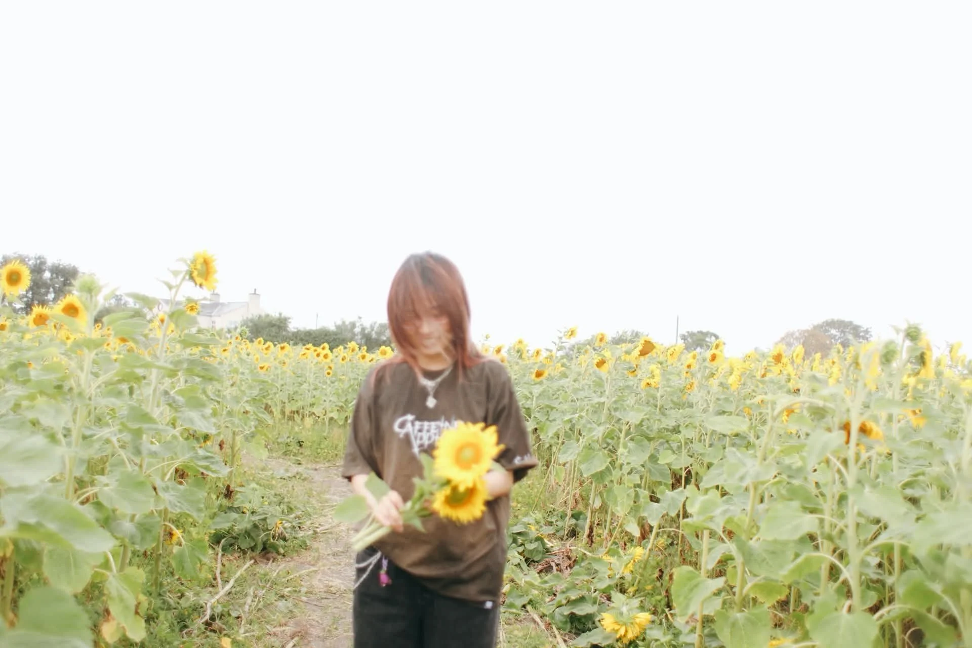 A person holding sunflowers in a sunflower field with numerous blooming sunflowers and a bright, overcast sky.