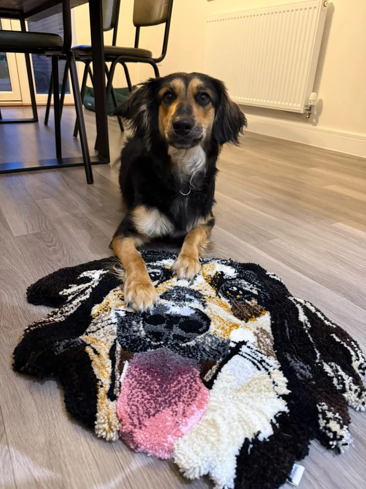 A dog sitting on a dog rug of itself in a room with wooden flooring, near a dining table and chairs, with a radiator and door in the background.