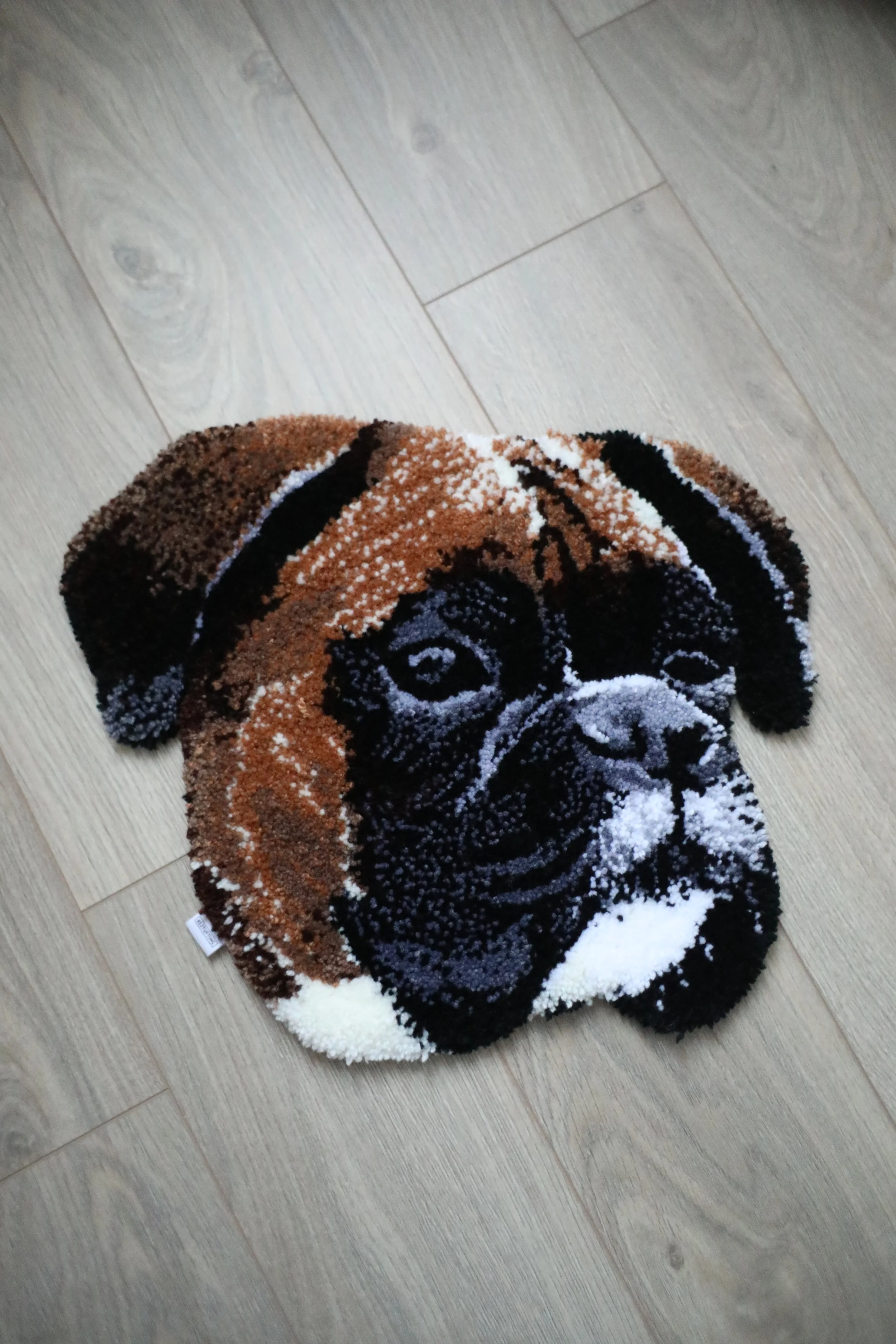 Pet Portraits Realistic Style 自訂寵物寫實版