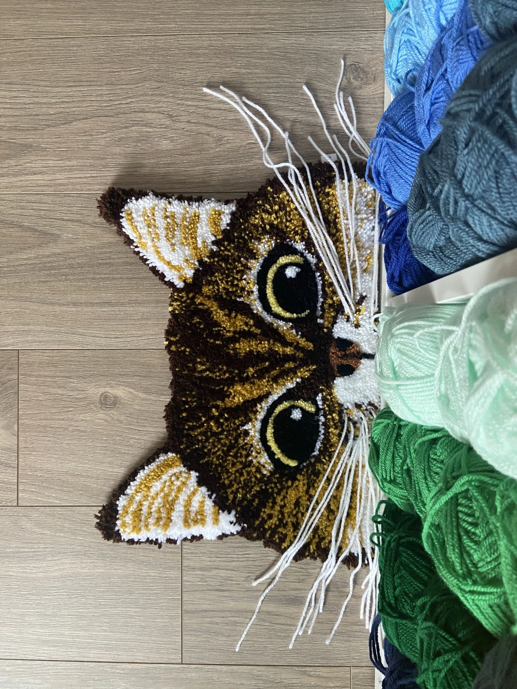 A peek a boo cat rug, on a wooden floor.