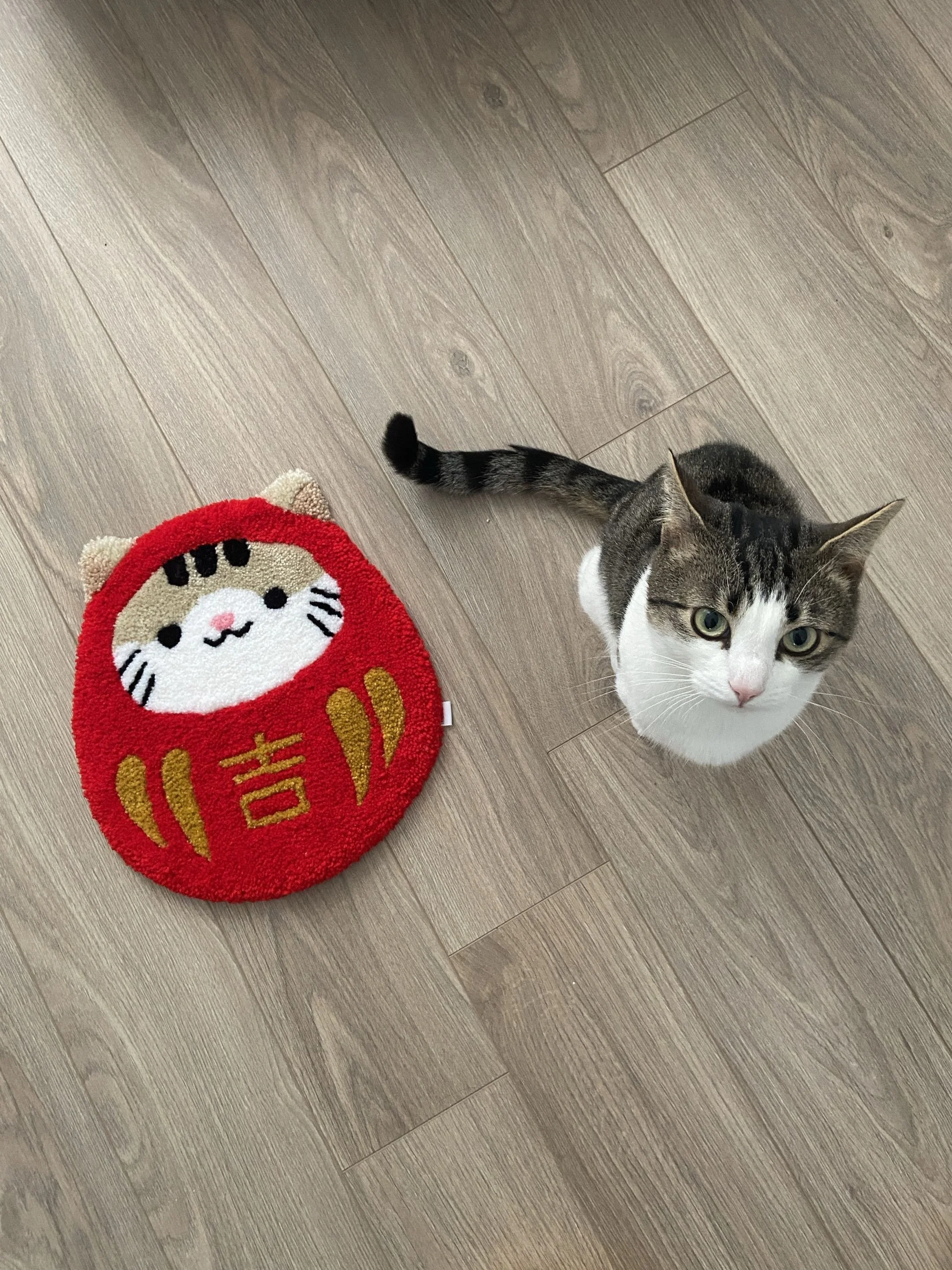A cat with white and gray fur looking up, next to a red daruma shaped like itself, on a wooden floor.
