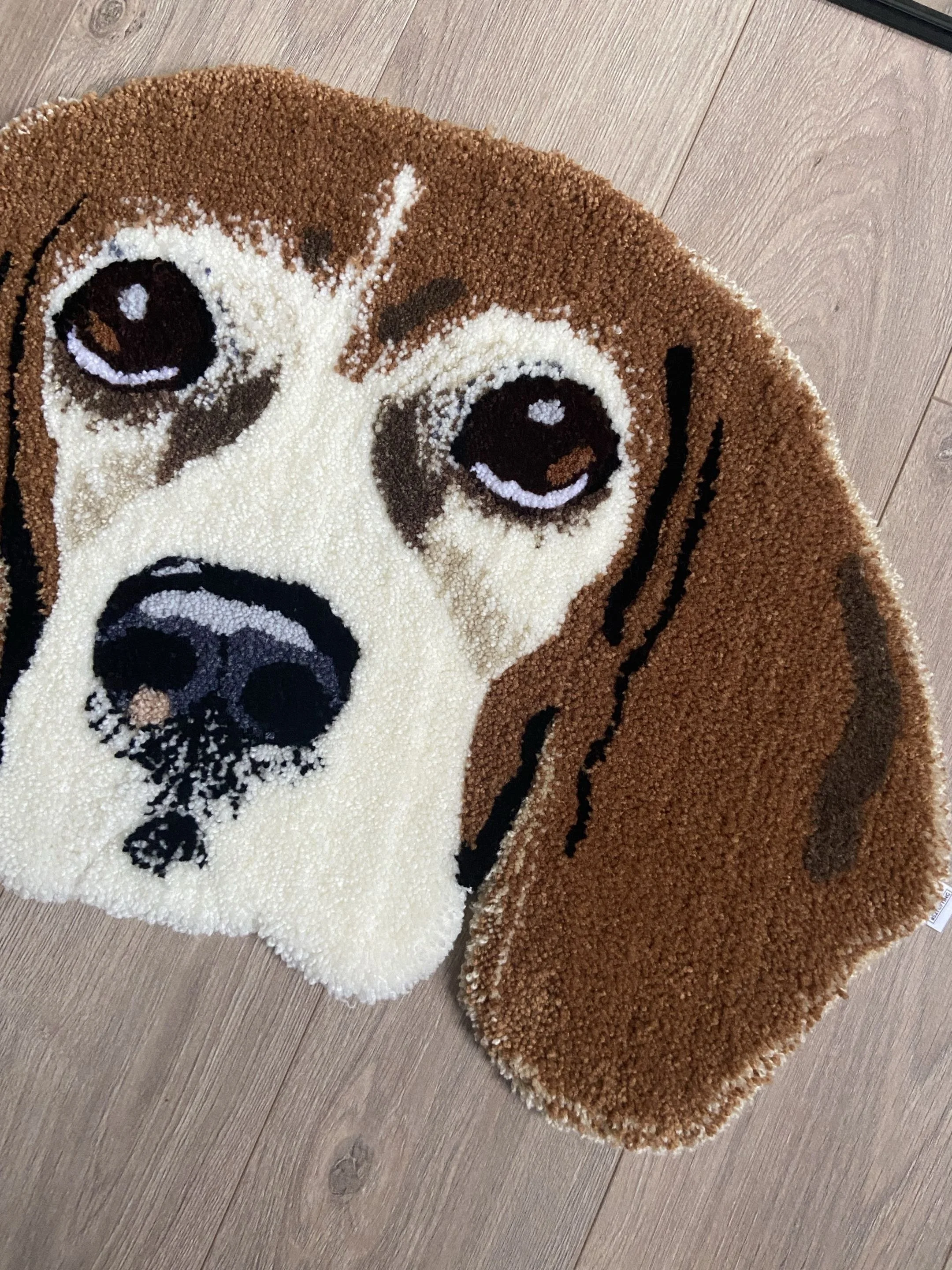 Close up of a realistic image of a dog's rug featuring large eyes, a nose, and ears, on a wooden floor.