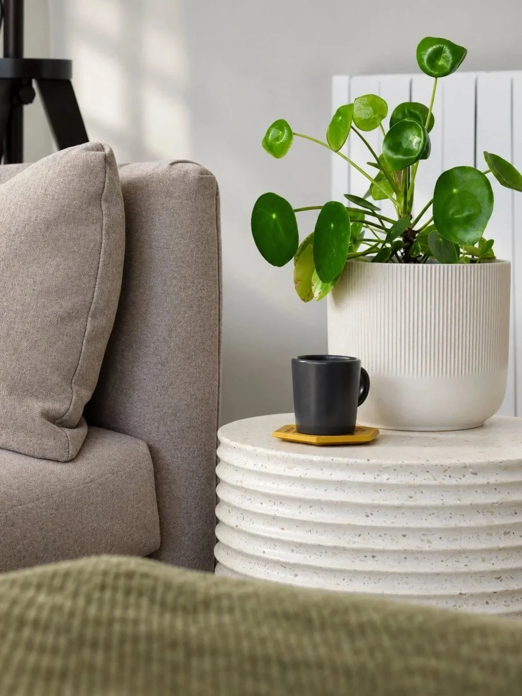 A living room corner with a beige sofa, a white textured side table, a black coffee mug on a yellow coaster, and a large potted green plant with rounded leaves.