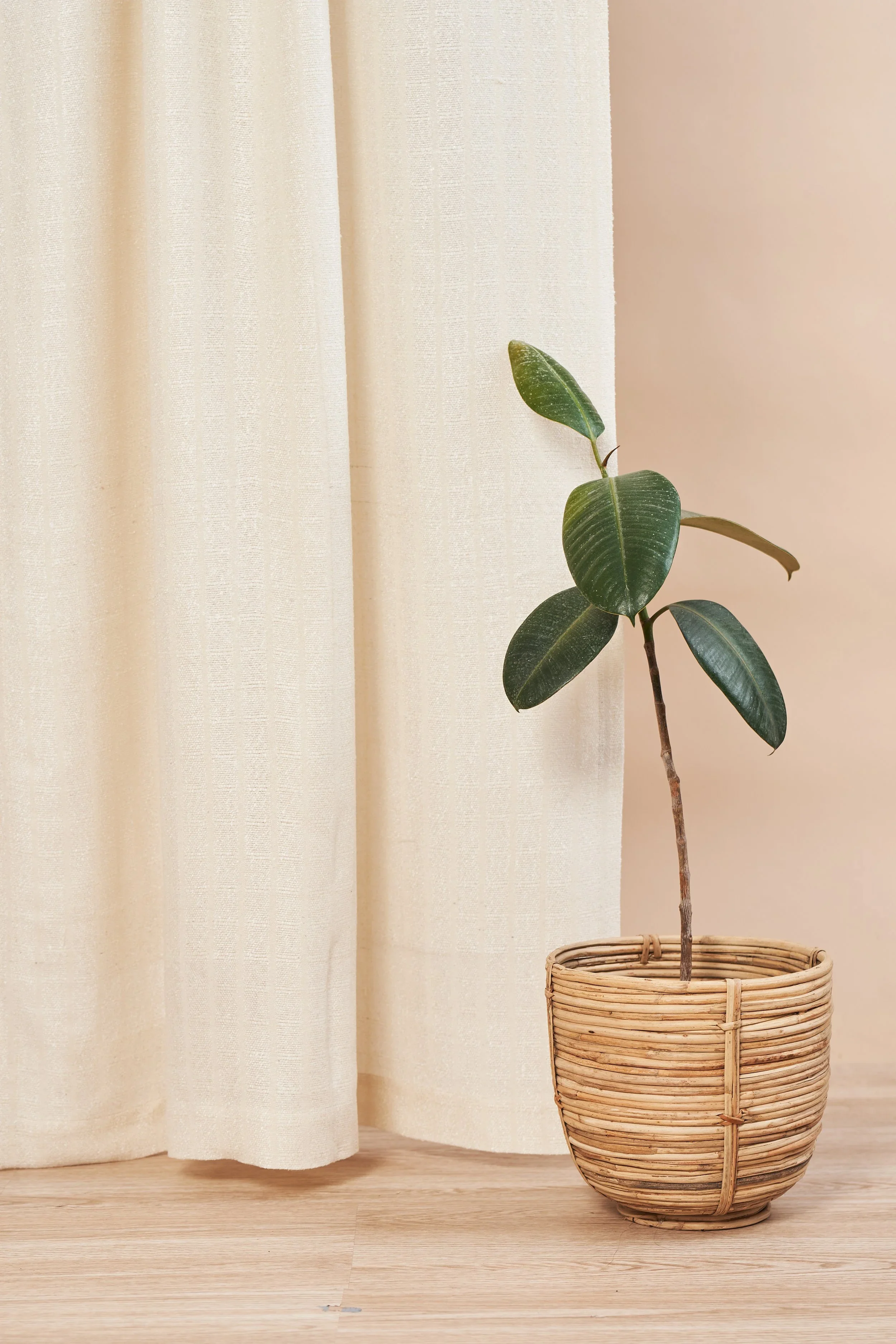 A potted plant with green leaves in a woven basket beside a cream-colored curtain and beige wall on wooden flooring.