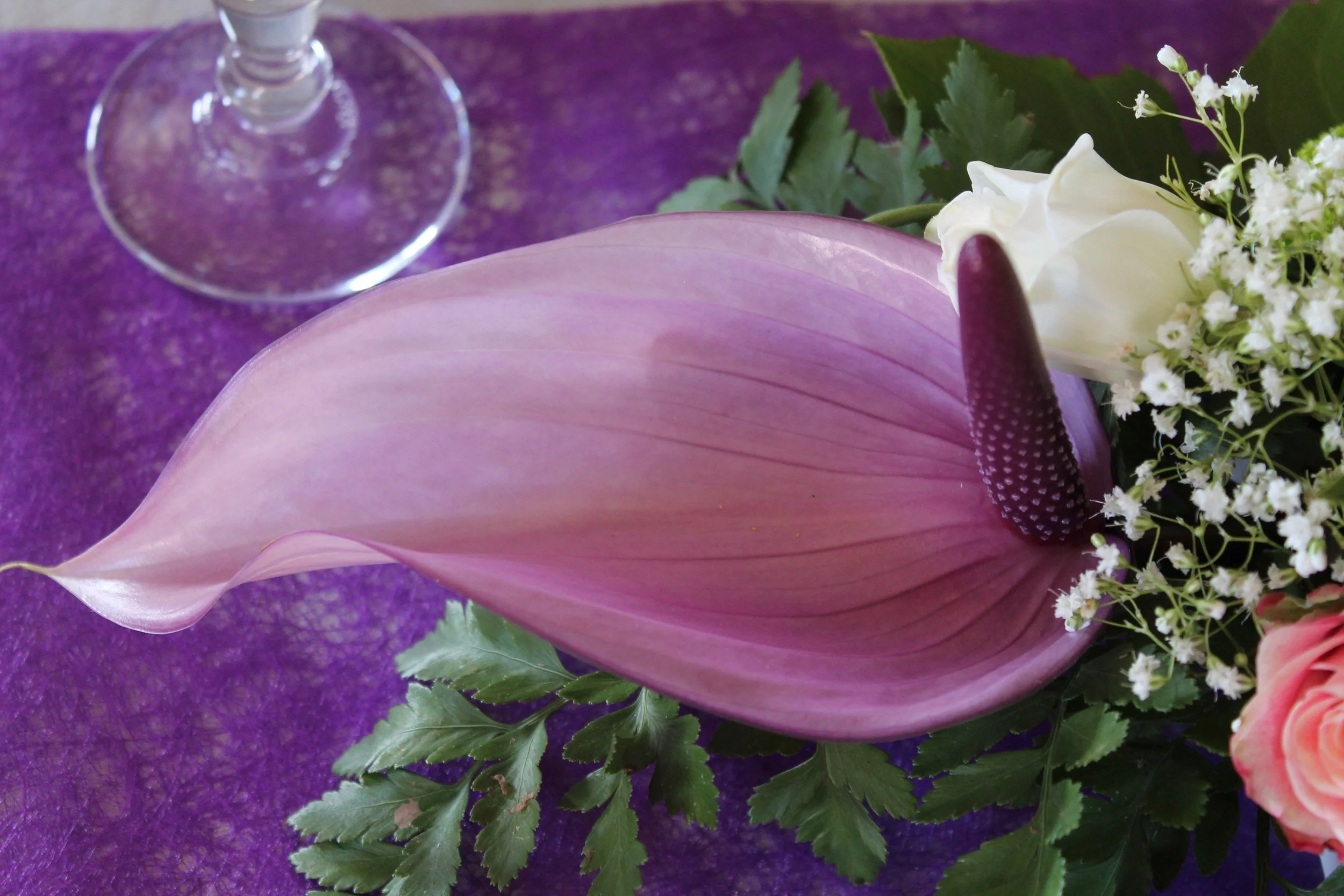 Composition florale de La Langrie – Émotions végétales, dans une ambiance élégante et naturelle.