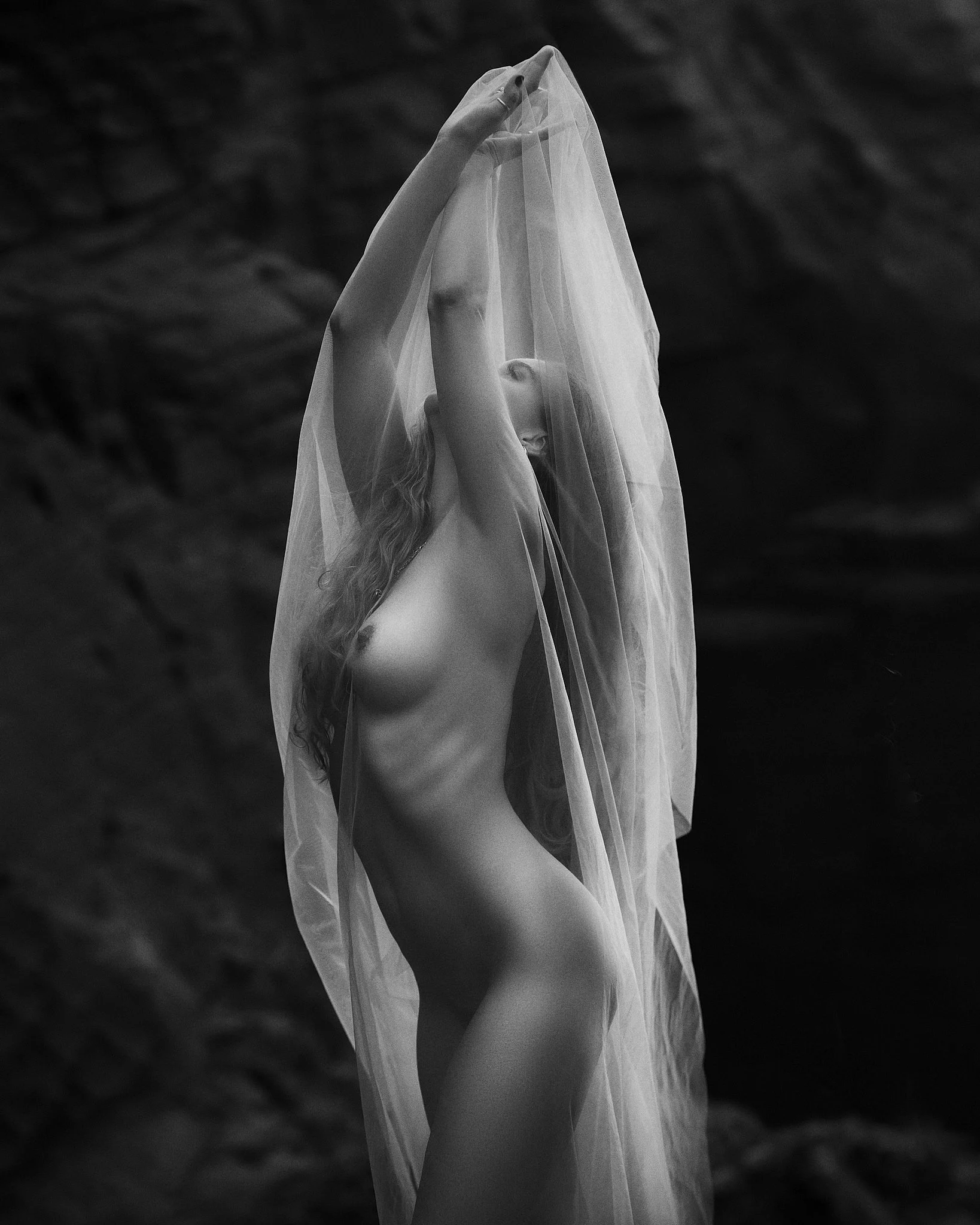 A black and white photograph of a nude female holding a sheer fabric veil or cloth over their head and face, with a dark, textured background.