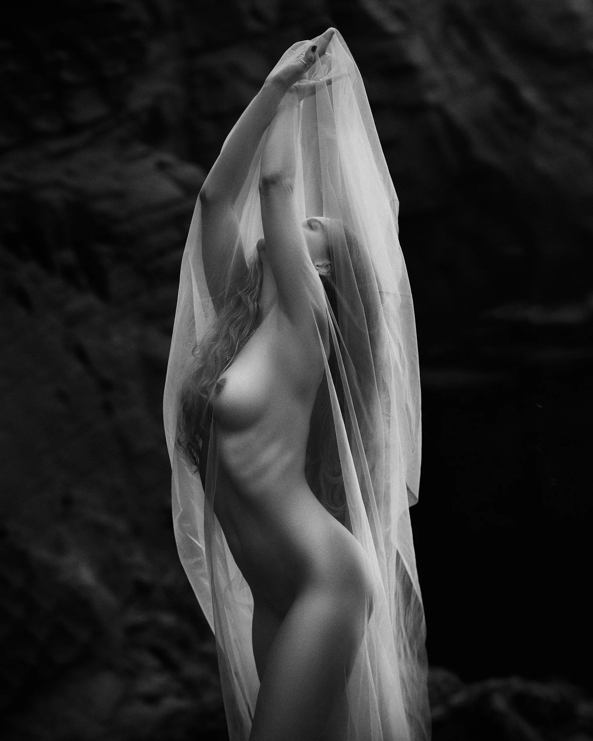 A black and white photograph of a nude woman holding a sheer veil over her head and face, with a blurred textured background.