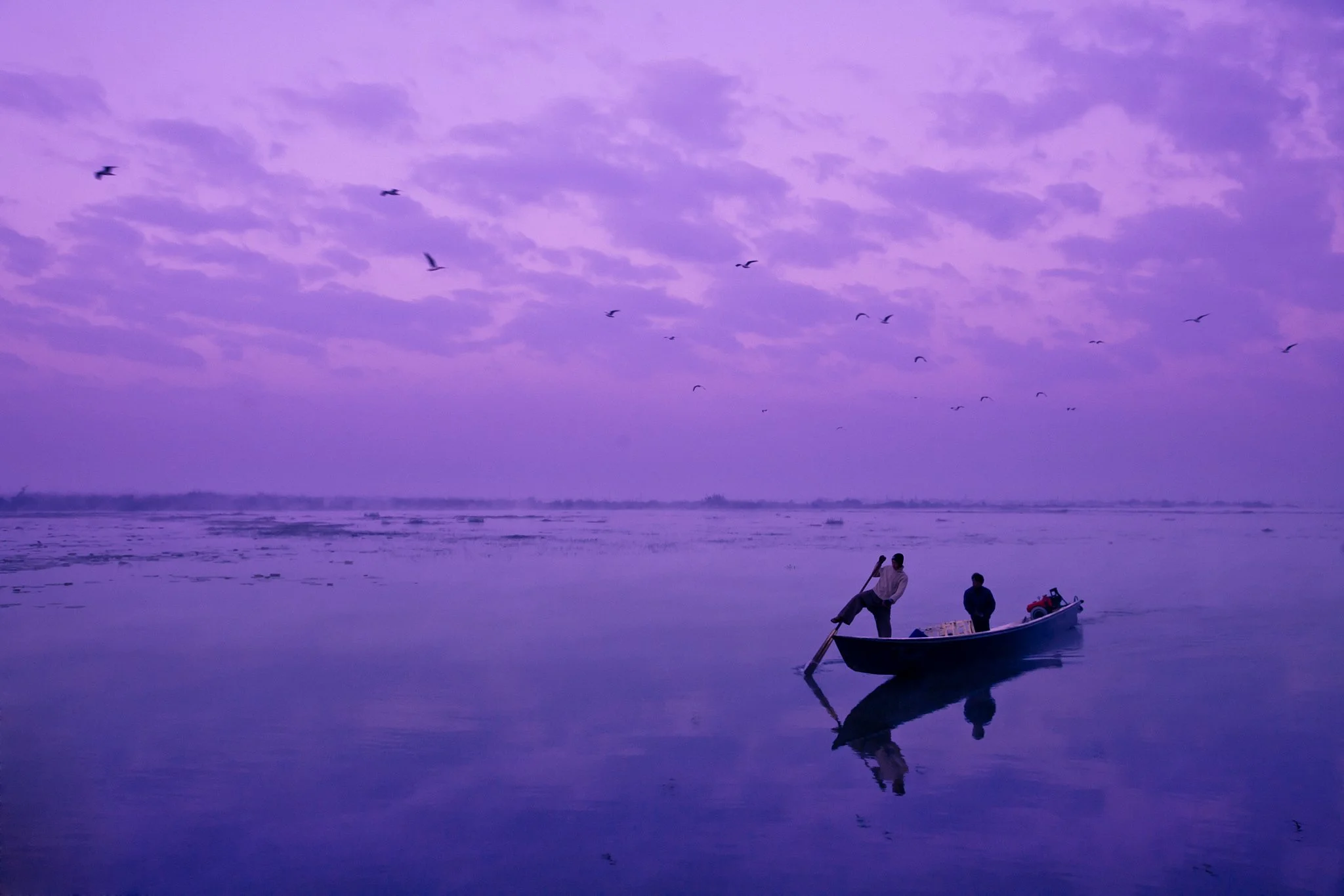 A purple-hued scene with a flock of birds flying over a calm body of water. Two people are on a small boat on Ile Lake, Myanmar, with one standing and the other sitting, along with a motor on the boat.