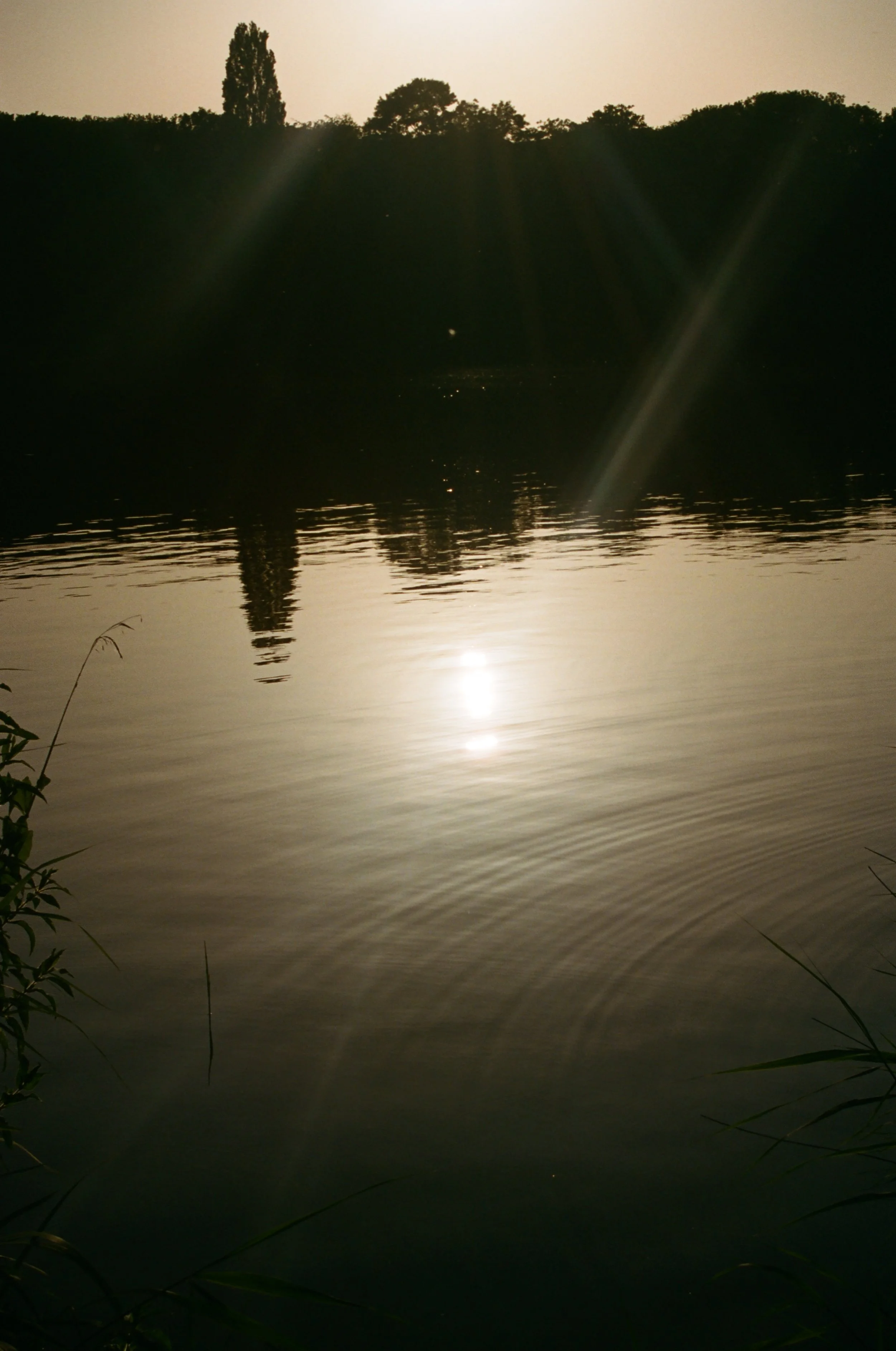 Sunset over a calm river, with the sun reflecting on the water and trees silhouetted in the distance.