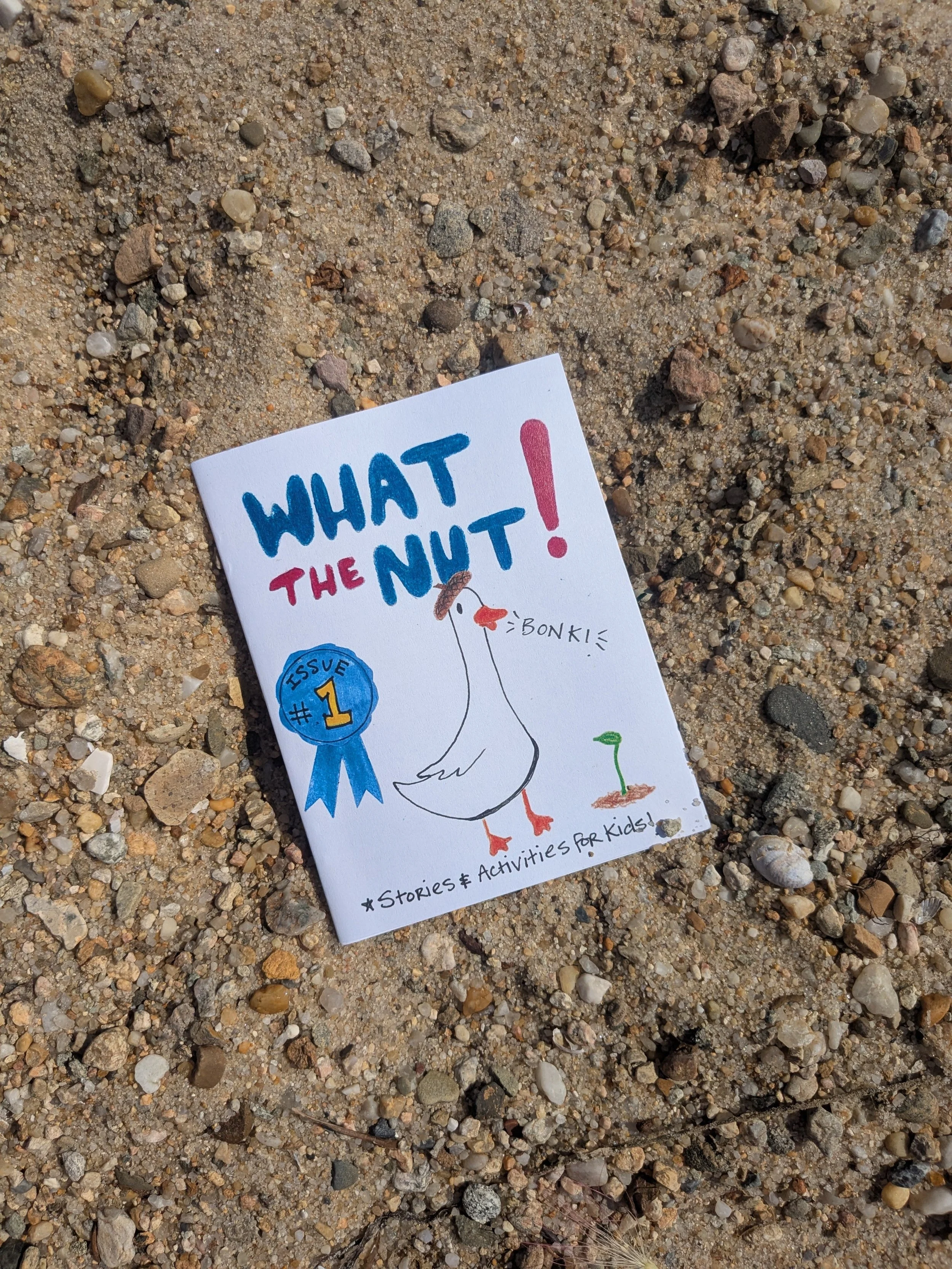 WHAT THE NUT ZINE THREE MONTH SUBSCRIPTION