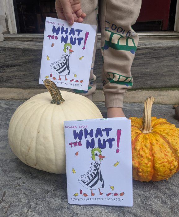 WHAT THE NUT ZINE SINGLE ISSUE