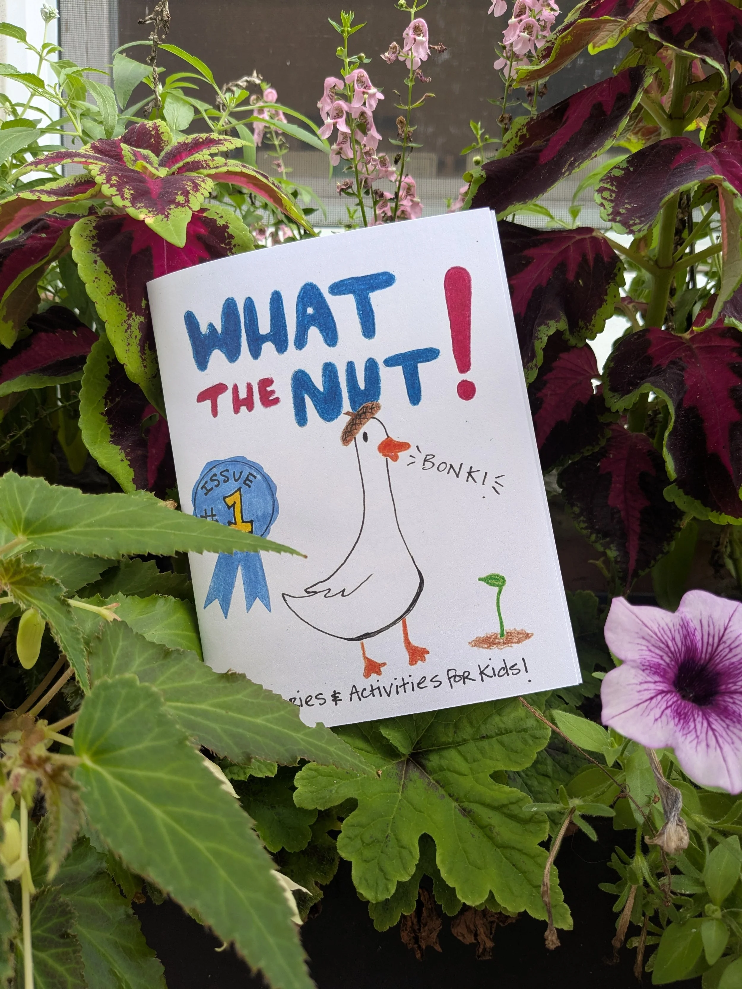 WHAT THE NUT ZINE SINGLE ISSUE