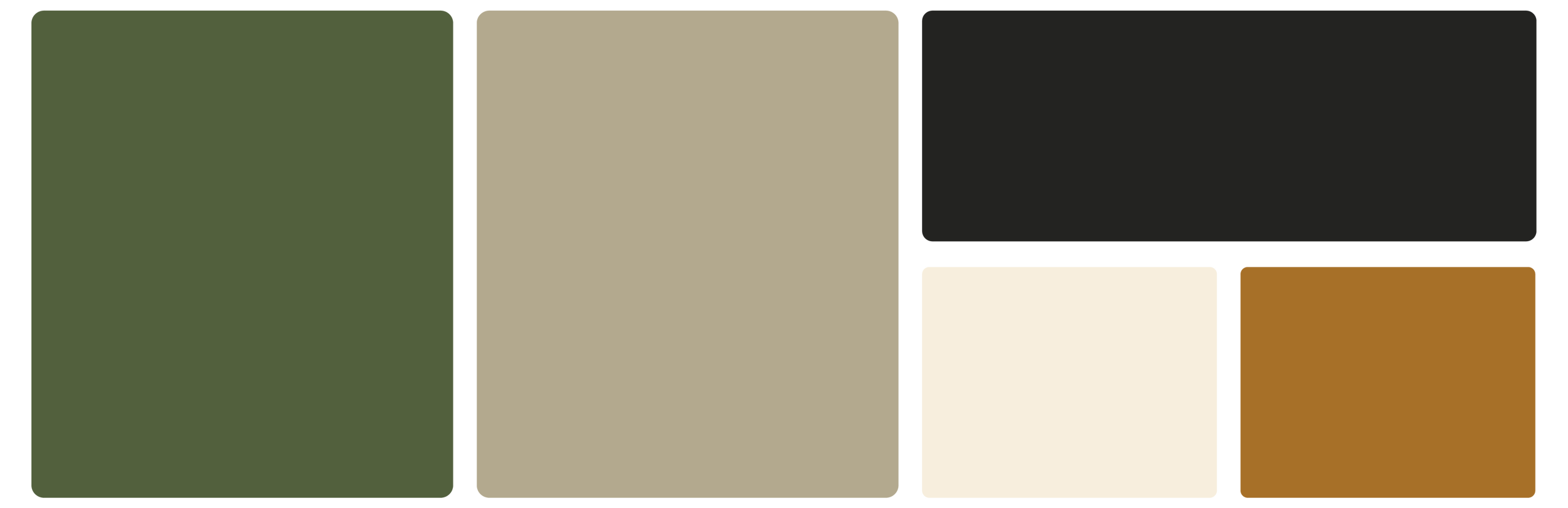 Henderson Chiropractic color palette