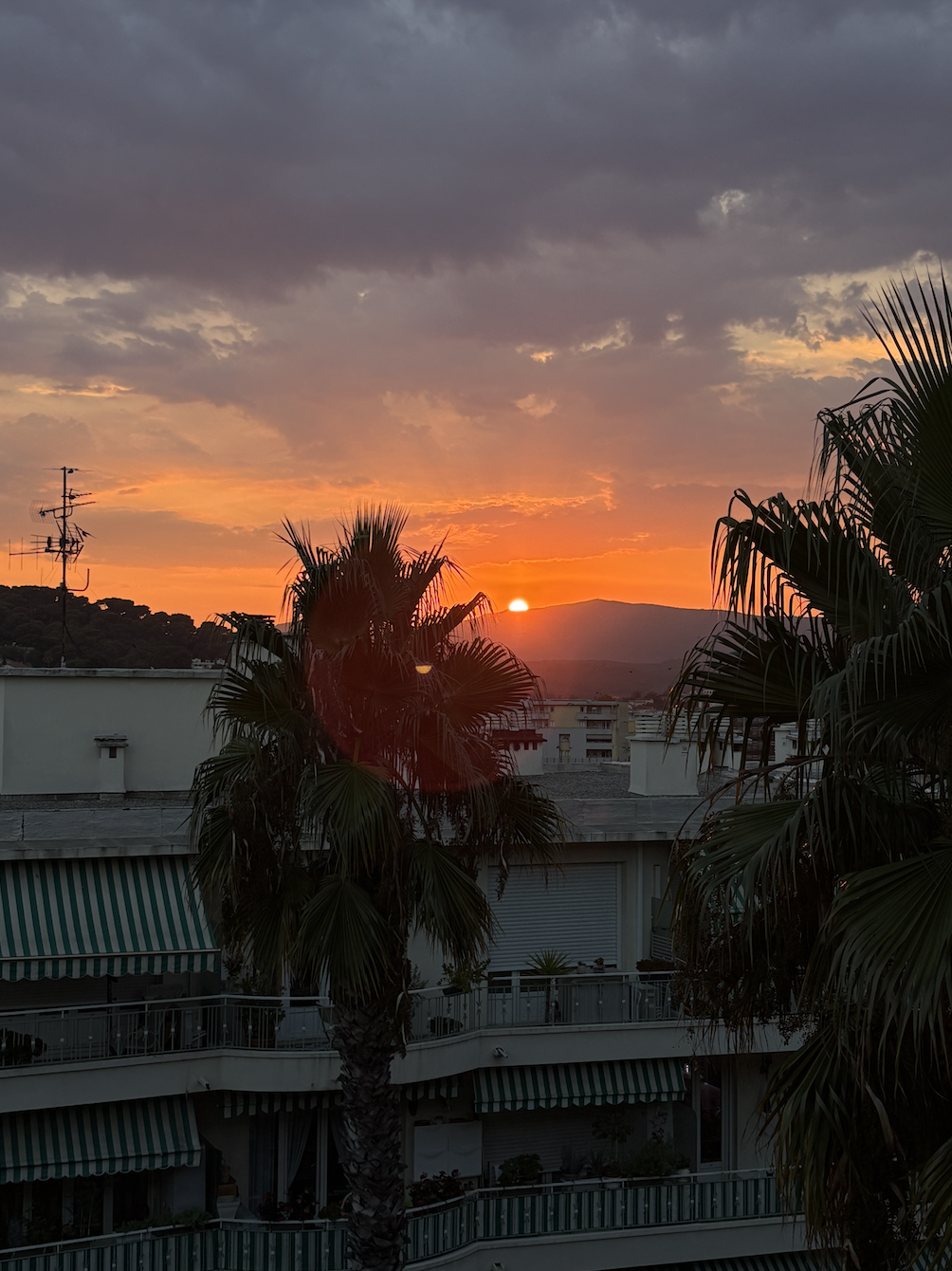 french riviera-10.png