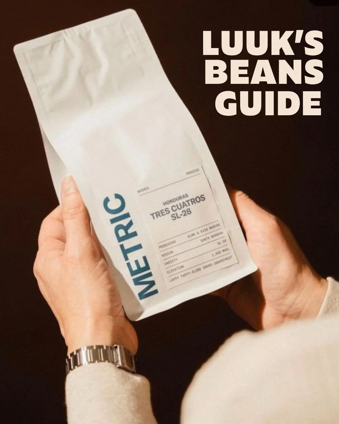 beans guide 1.jpg