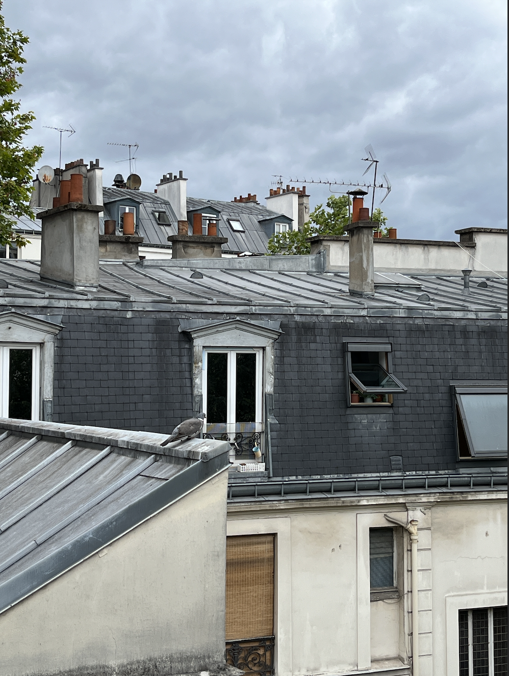 paris-1.png
