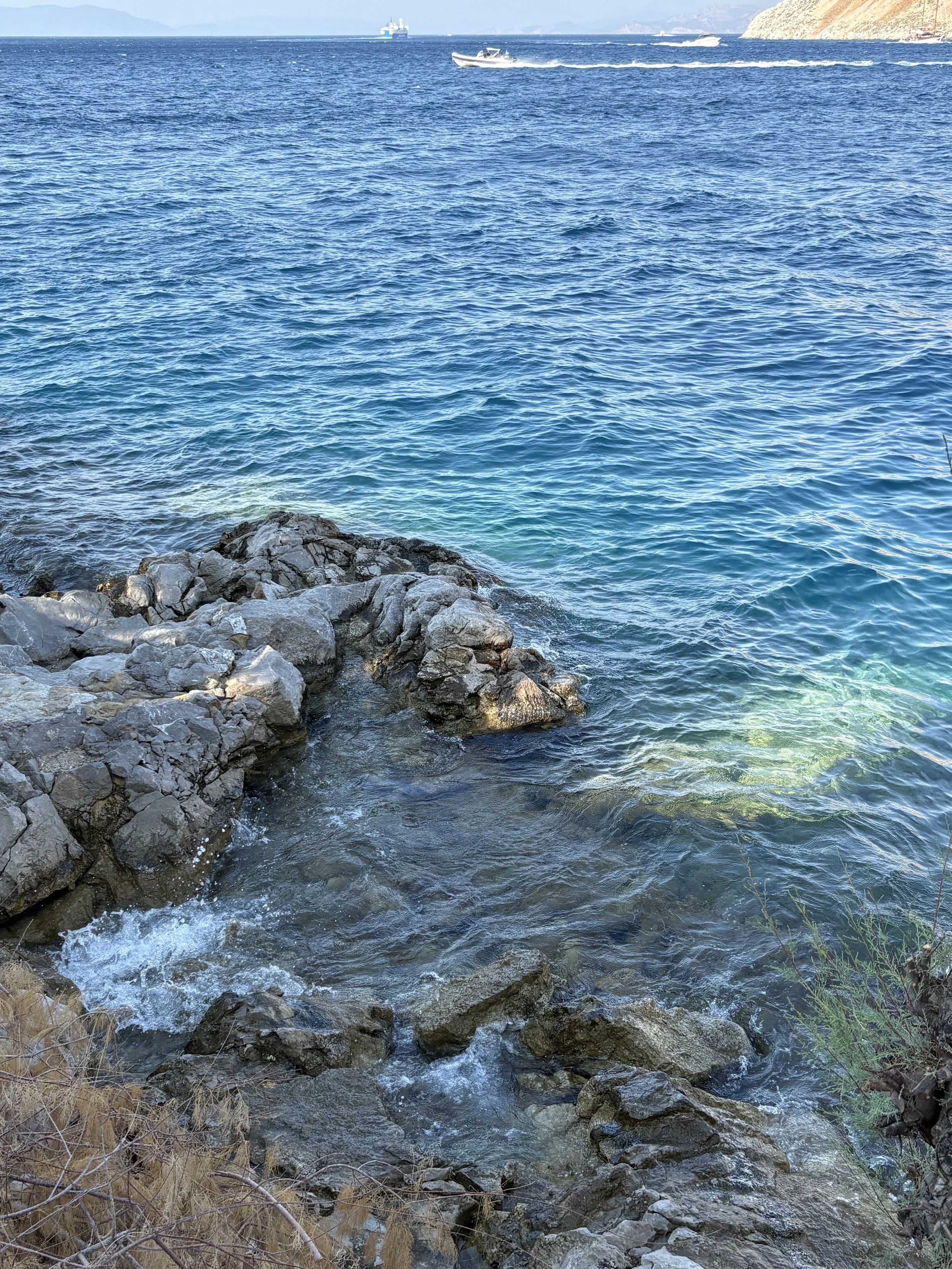 IMG_5674.JPG