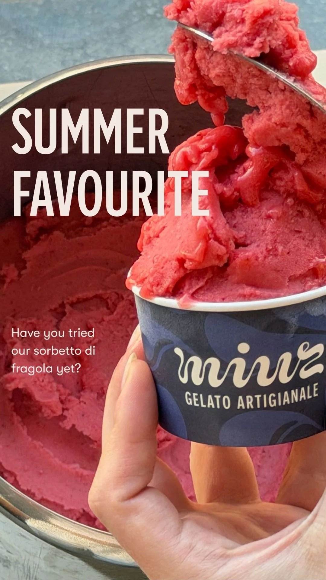 Summer favourite.jpg