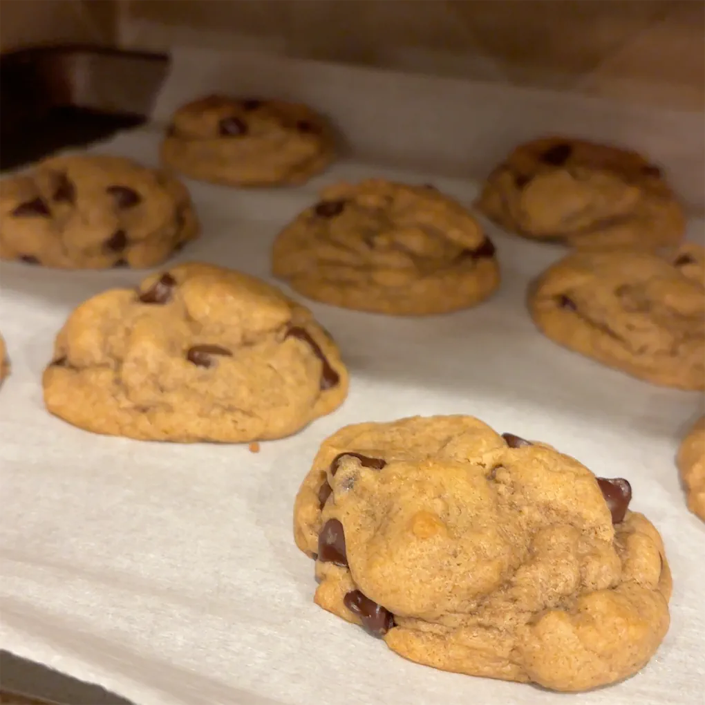 Chocolate Chip