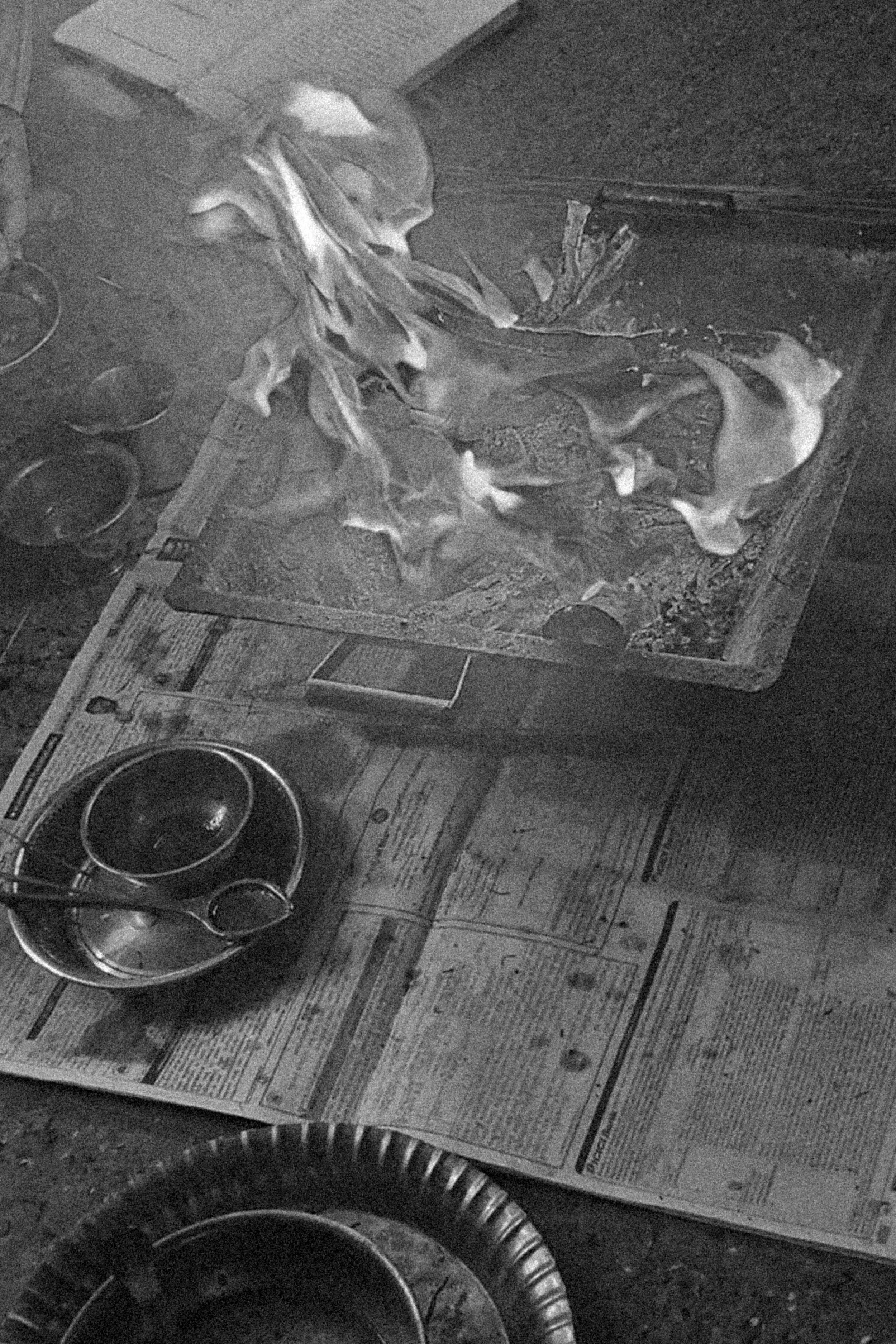 Une image en noir et blanc d'un coin cuisine avec un plan de travail en bois, des casseroles, et un oiseau posé sur une étagère ou un objet. Il y a aussi un sac ou un objet en plastique placé près du mur.