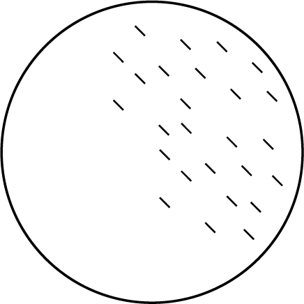 Diagramme circulaire avec des sections inclinées et des lignes pointillées