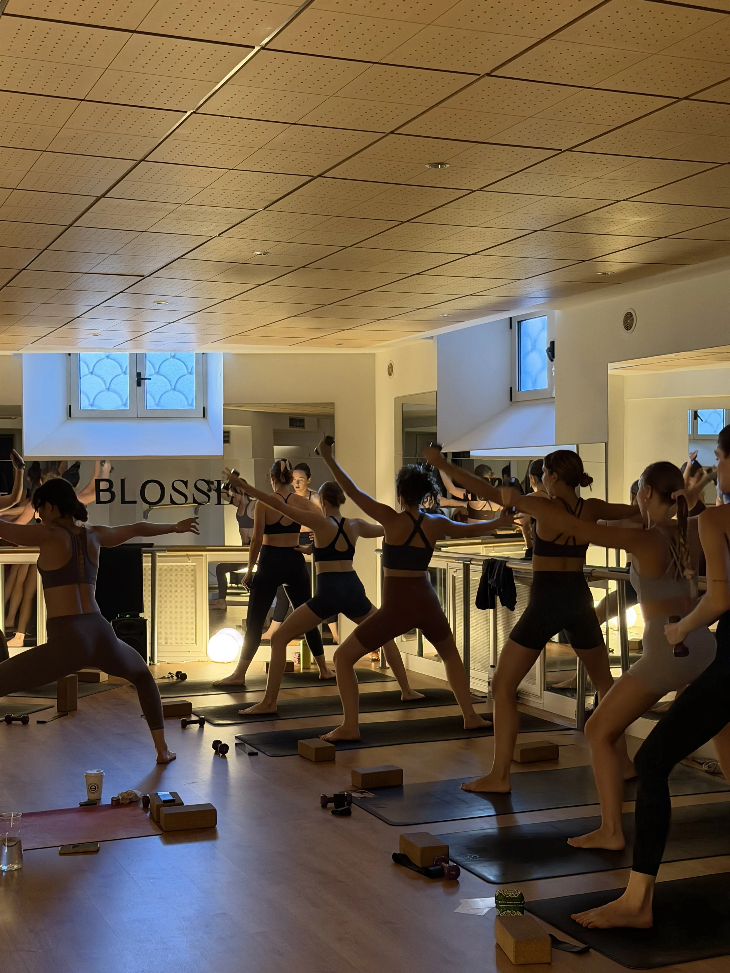 Grupo de personas realizando una clase de barre en un estudio, con barras de soporte y plantas, luz natural, y ropa deportiva.