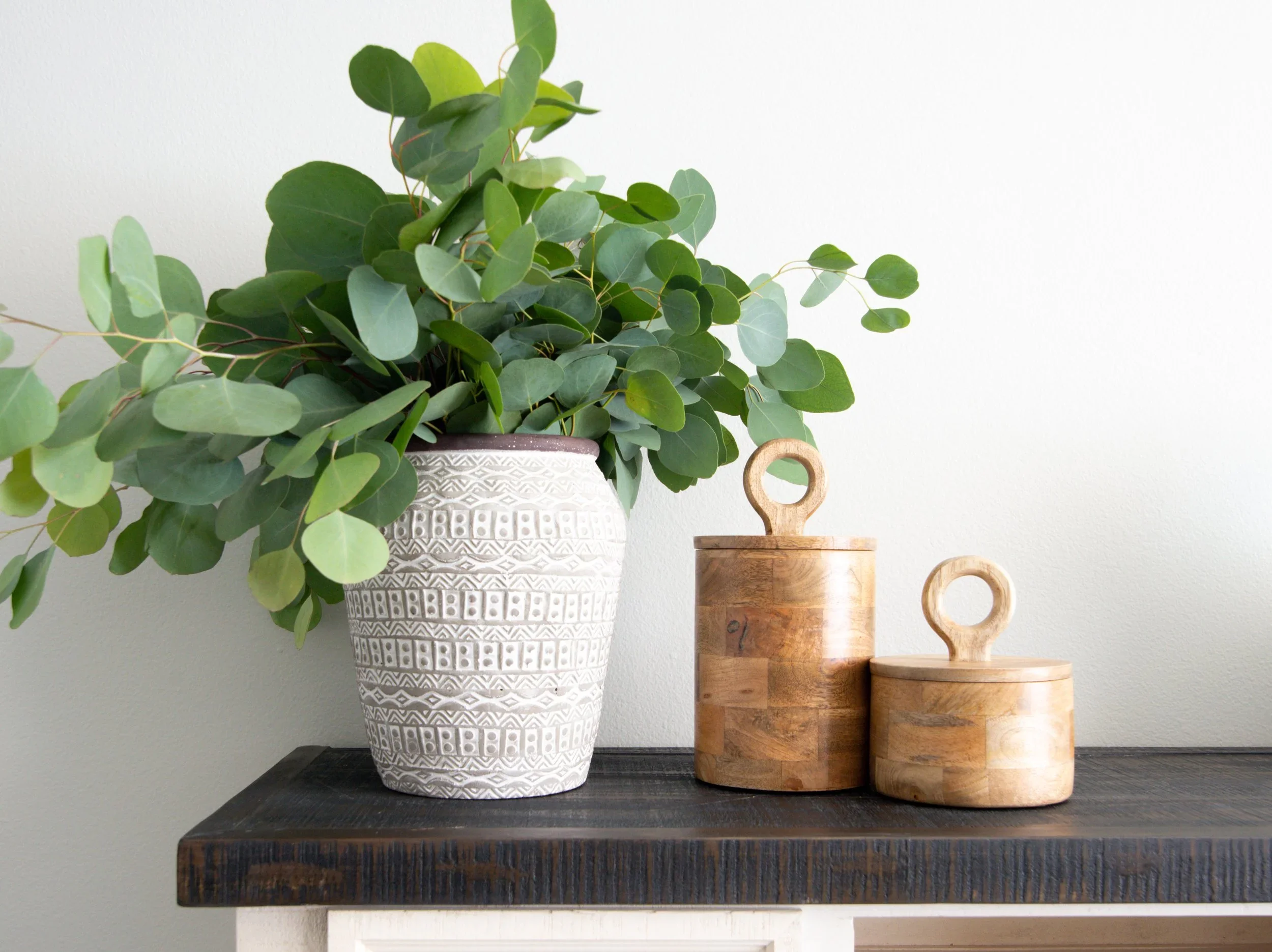 Green leafy houseplant in a textured white ceramic pot placed on a dark wooden shelf, with two wooden decorative cylindrical containers with circular handles on the right side.